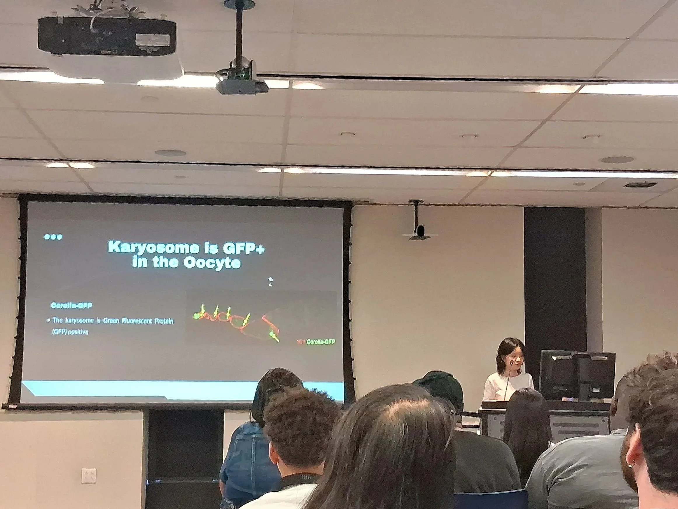 SPARKED presentation, August 2025