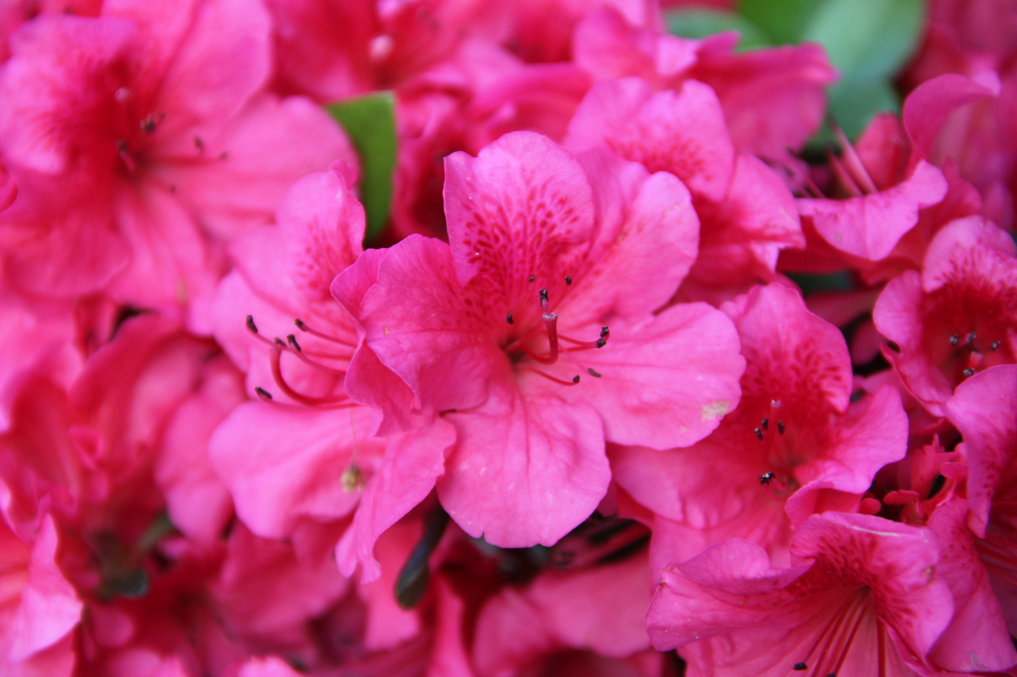 Source: Flickr