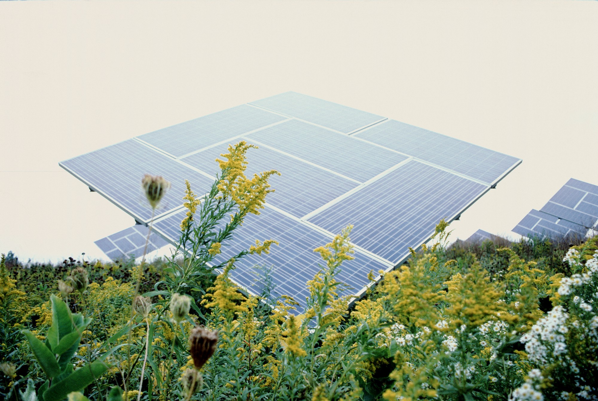 SolarPanels.jpeg