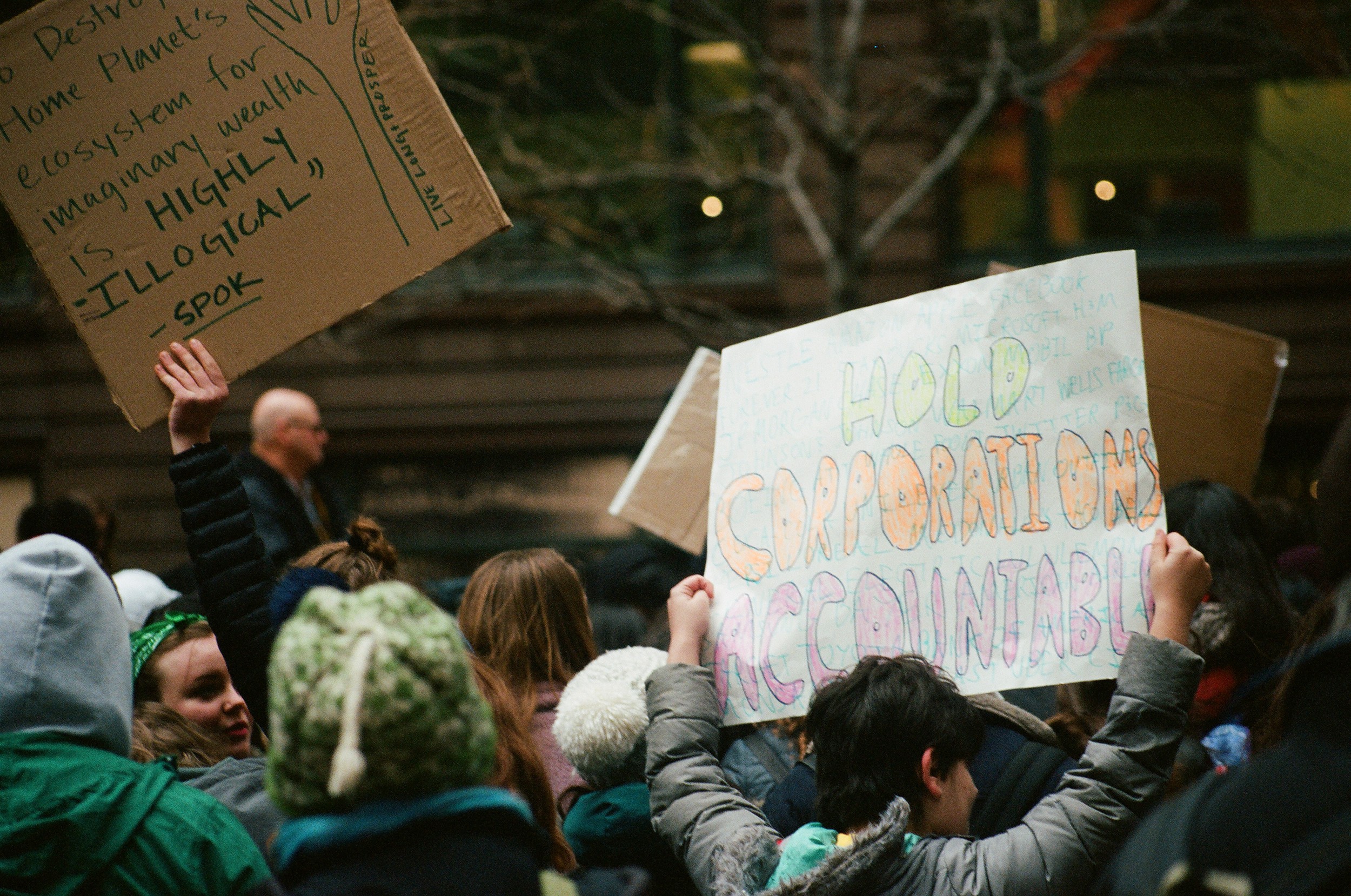 Youth Climate Strike in Chicago