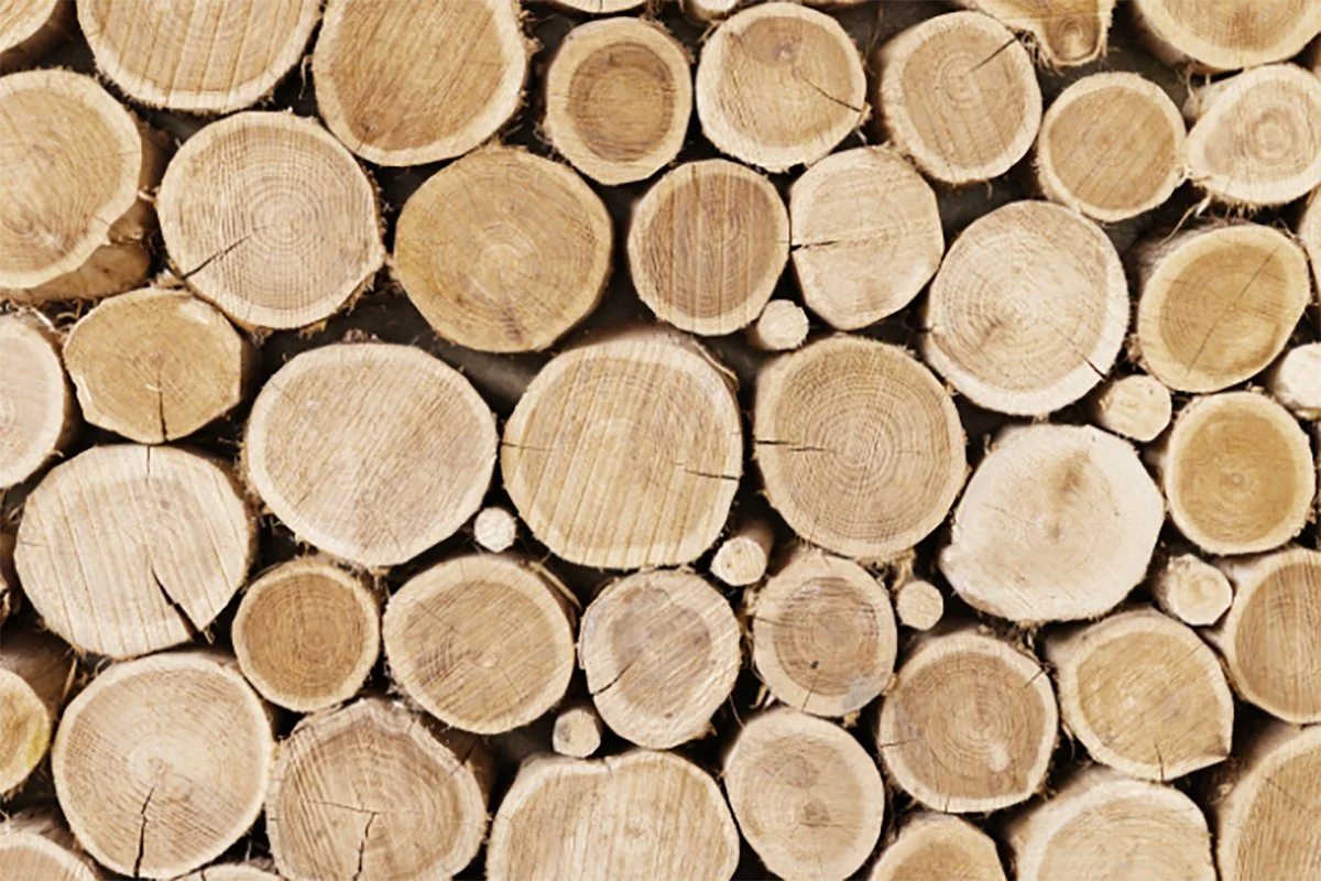 Beyond the Surface: How Custom Furniture Makers Are Redefining Sustainability in 2026