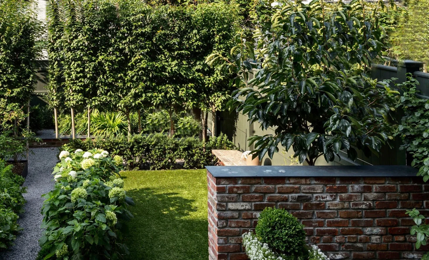 brooklyn-backyard-lawn-gravel-path-cropped-matthew-williams-dsc-5958-1466x889.jpg