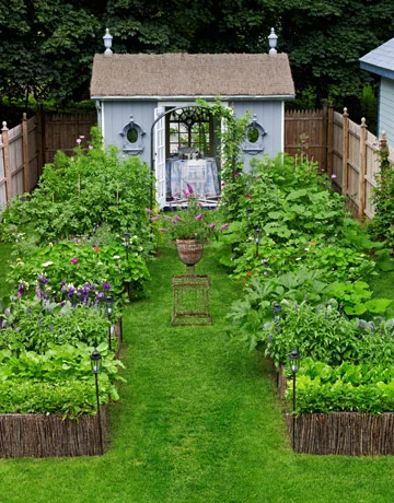 Backyard Vegetable Garden Design Ideas.jpg