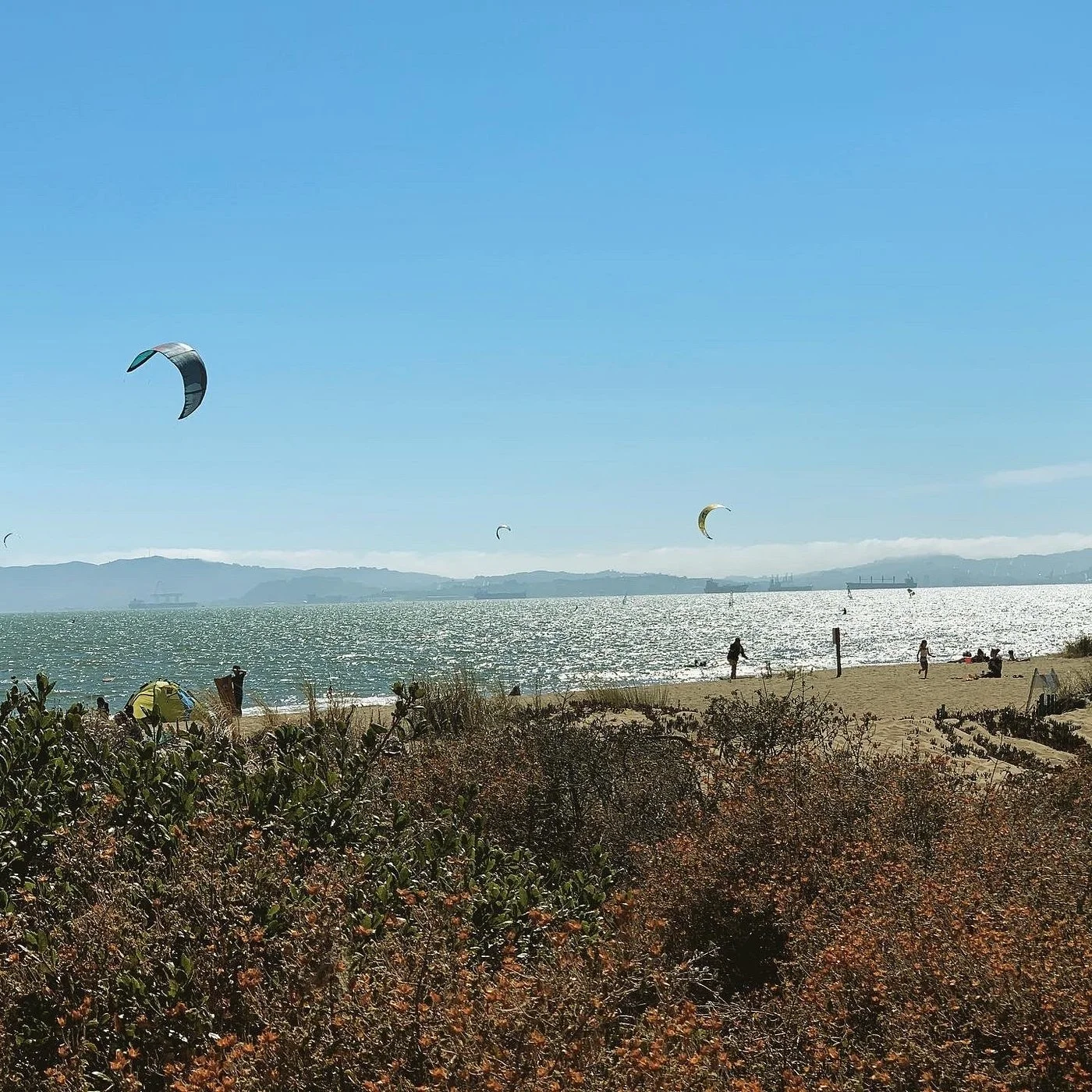 The Alameda Home Seller’s Checklist: 10 Things to Do Before You List