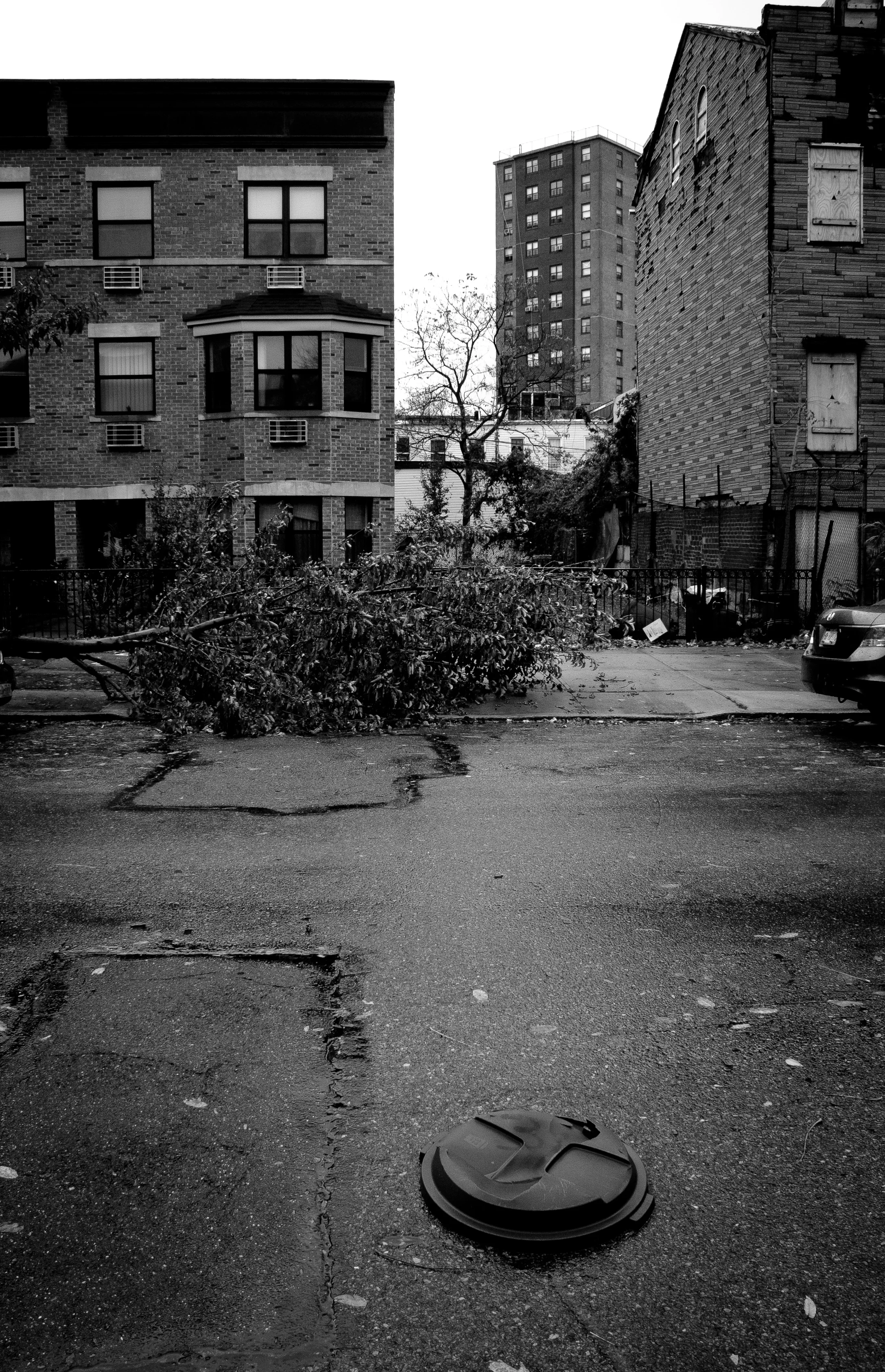 Sandy_2018_Web-3567.jpg