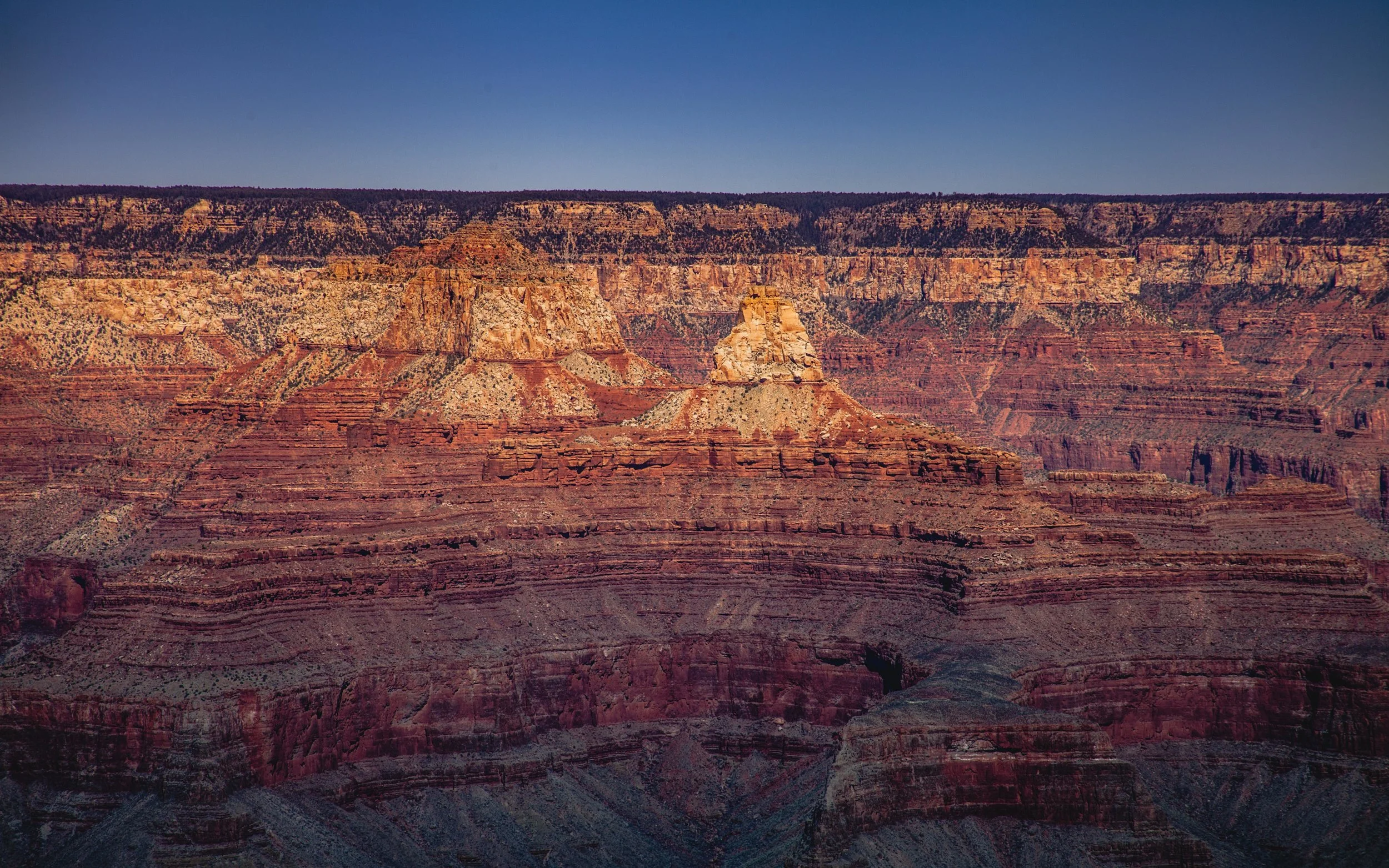 JG_GrandCanyon_August-7228.jpg