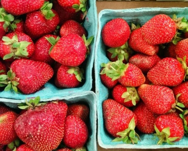 strawberries.jpg