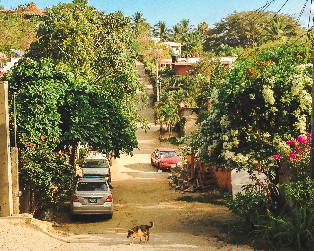 Town of Sayulita