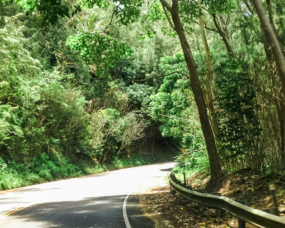 Road to Hana