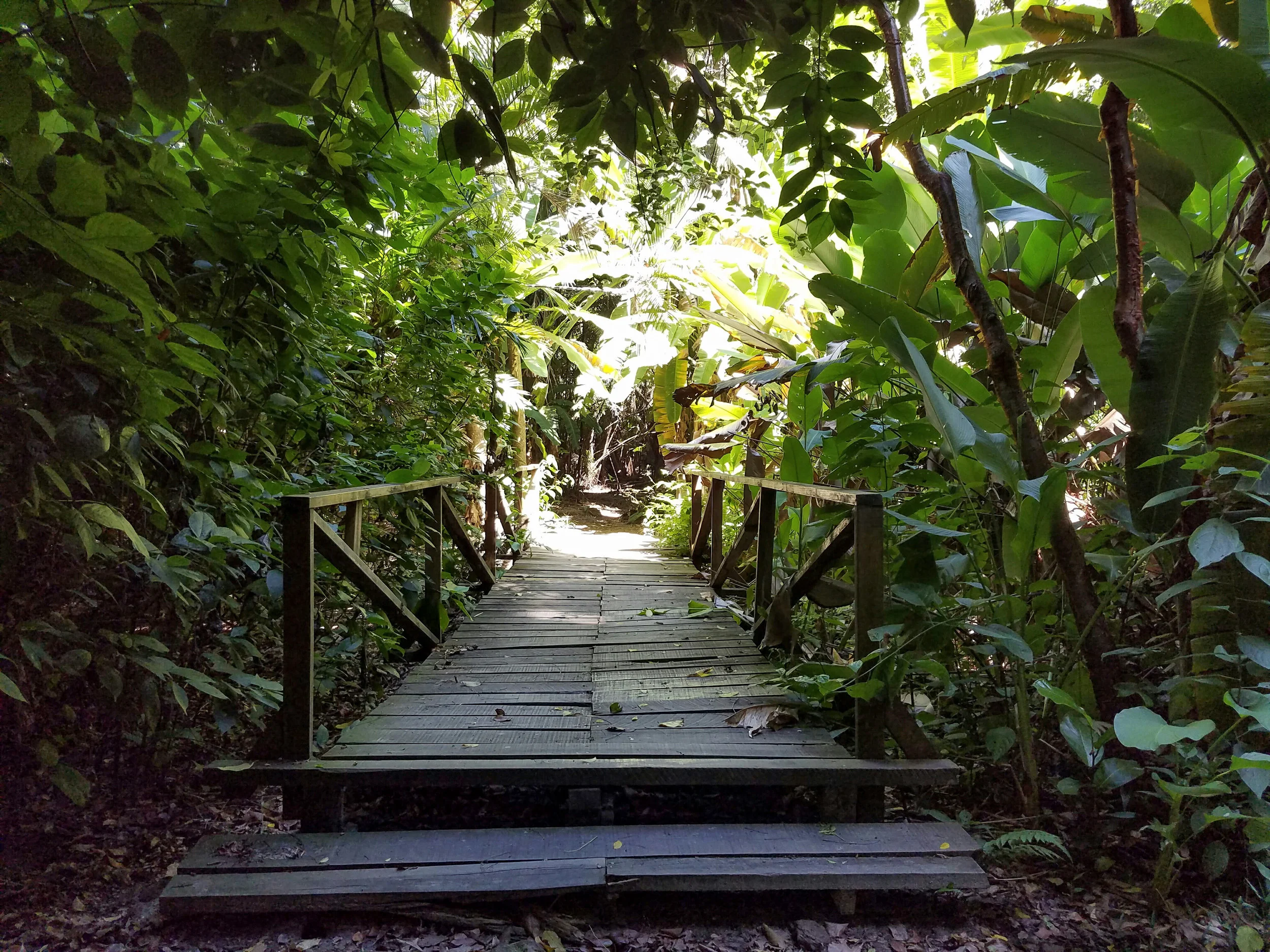 Jeanette Kawas National Park, Honduras