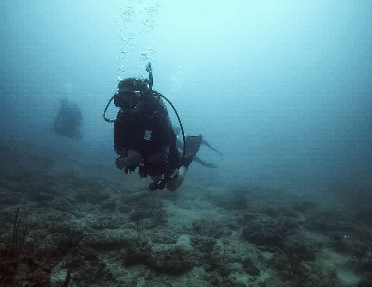 Shipwreck Park
