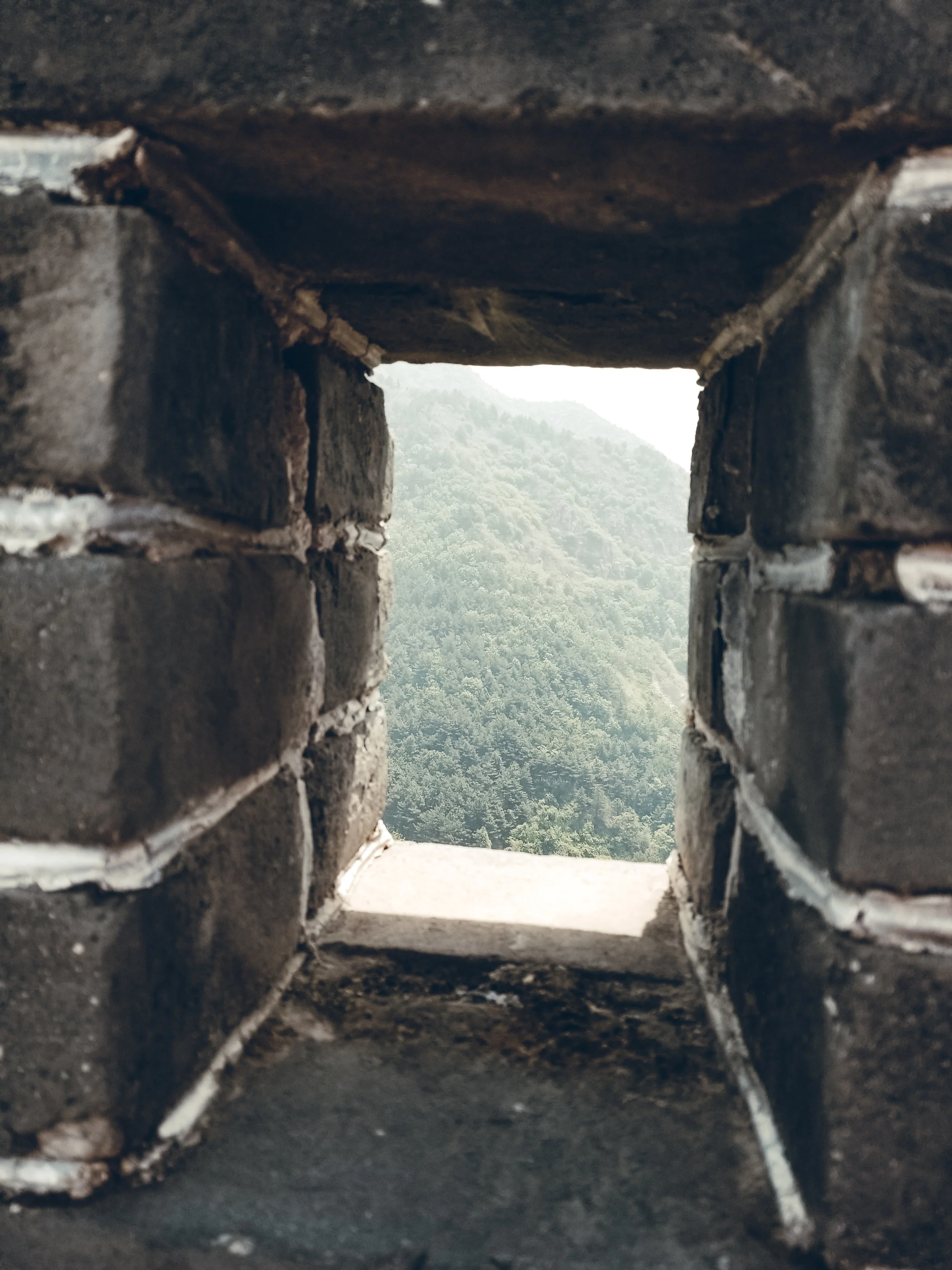 20190516_114015.jpg