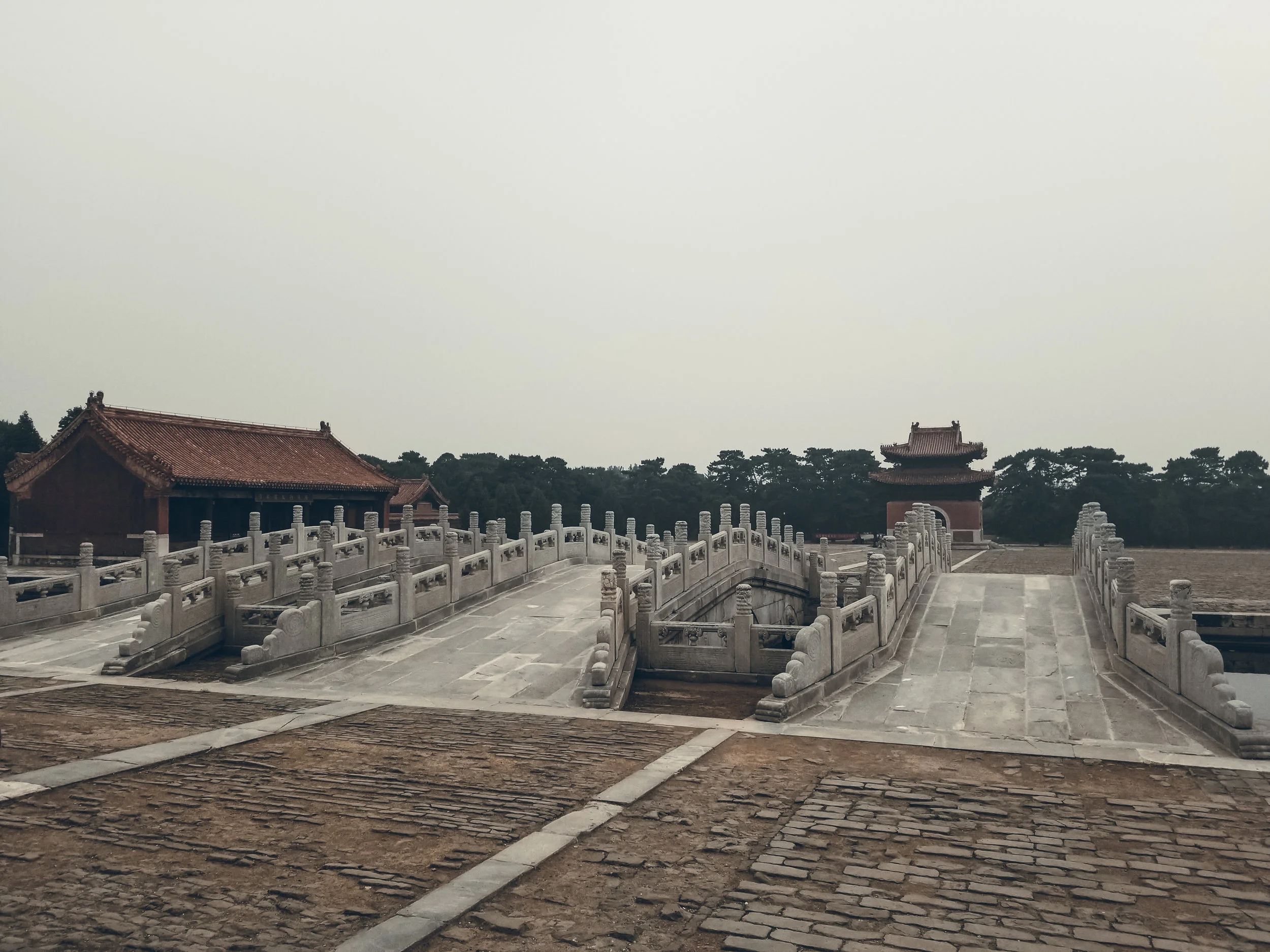 20190517_112720.jpg