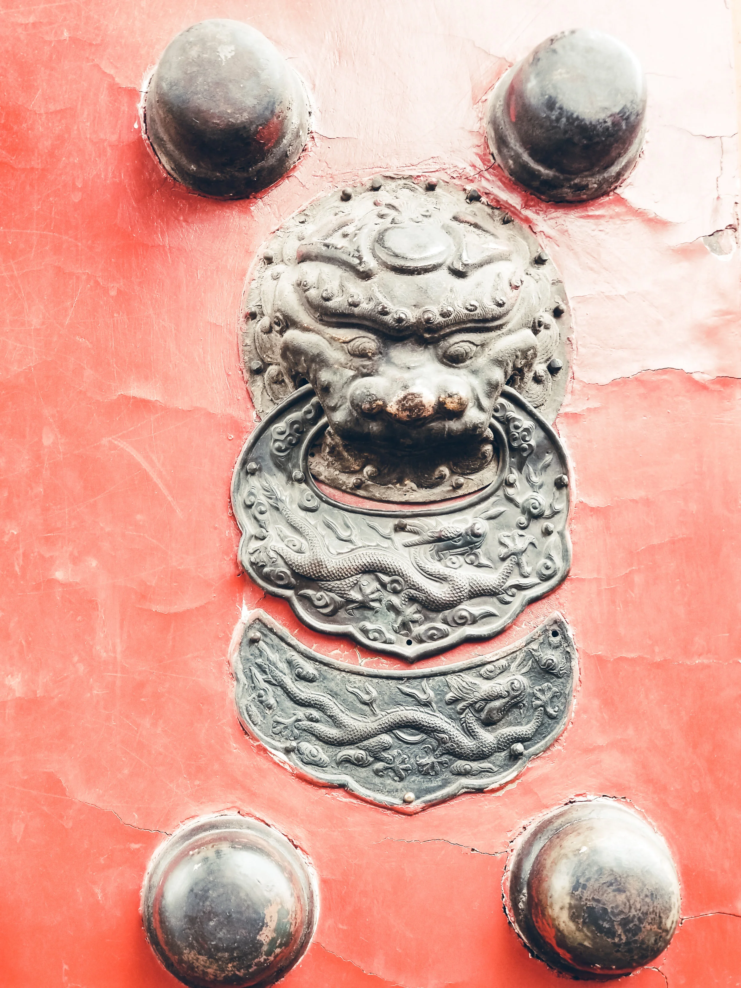 20190519_101245.jpg