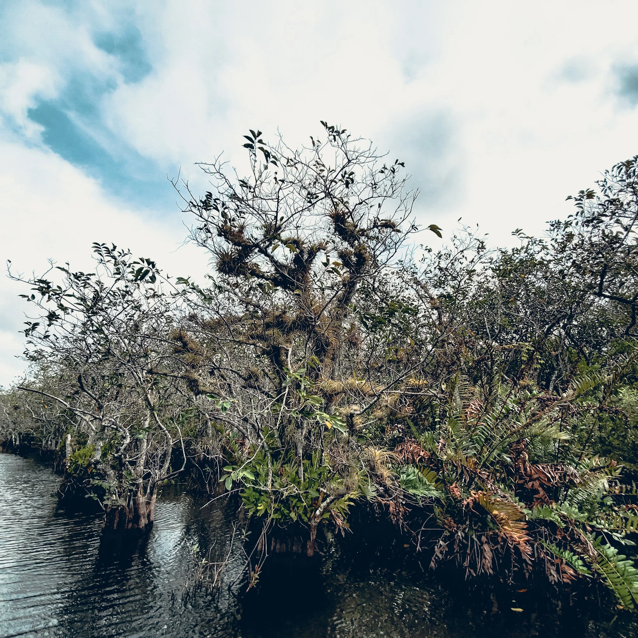 4503C98C-9CCD-4A13-AB3B-3D6754352BEA.jpeg