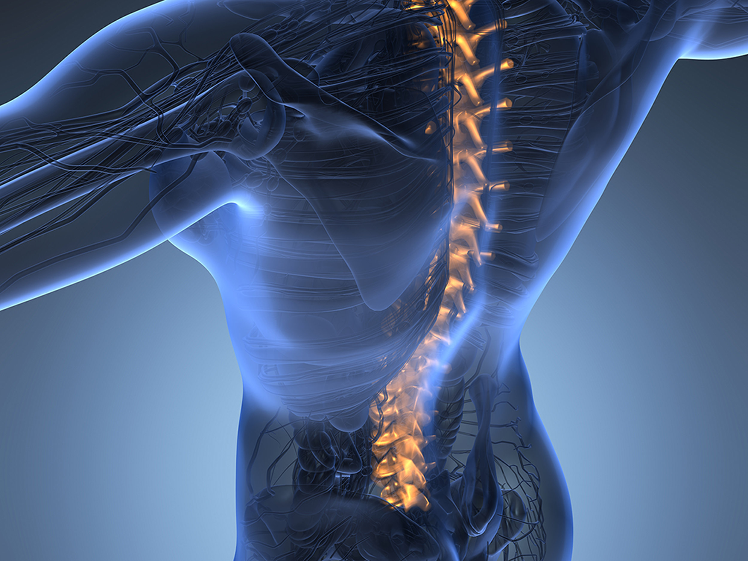 SPINAL REHAB - under development