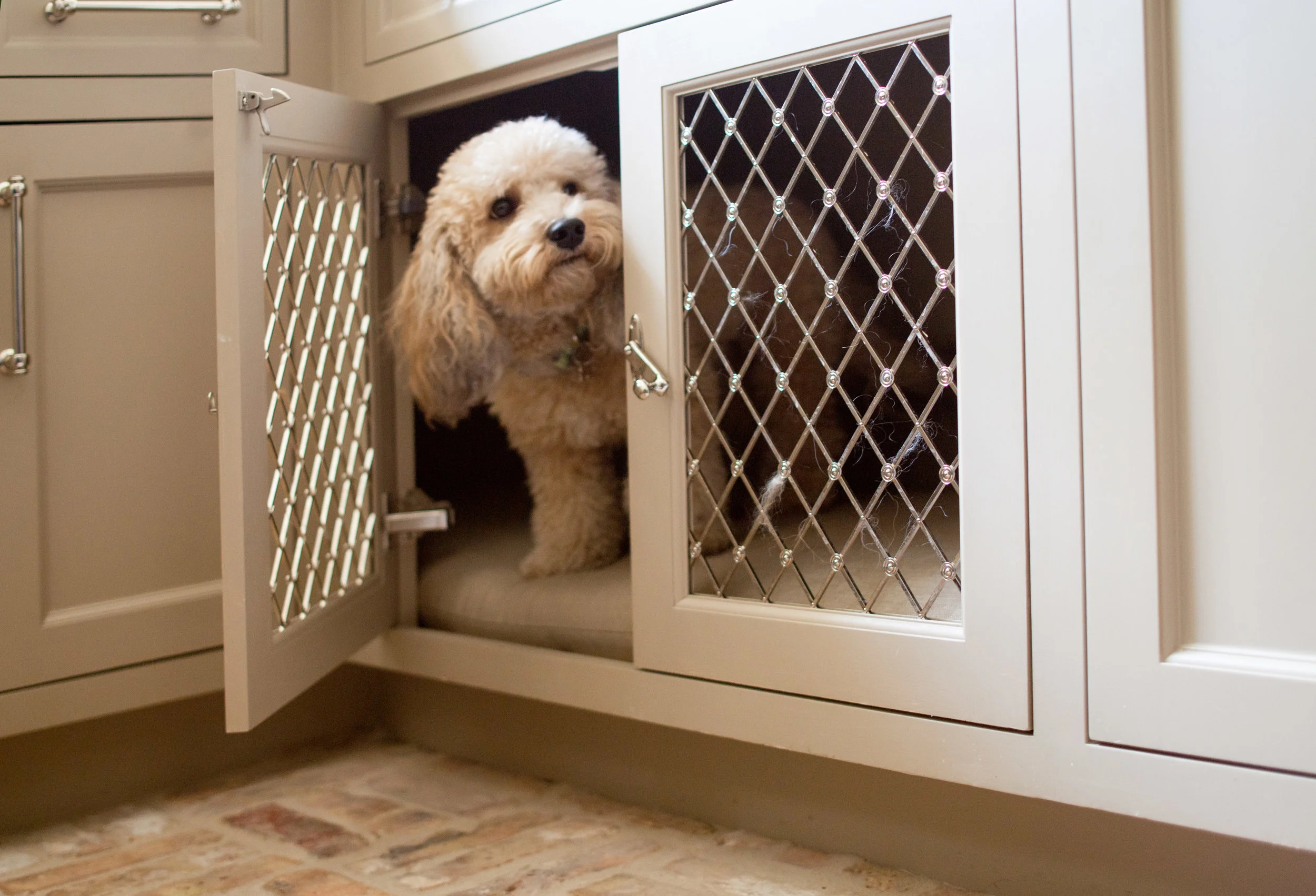 Utility room dog house