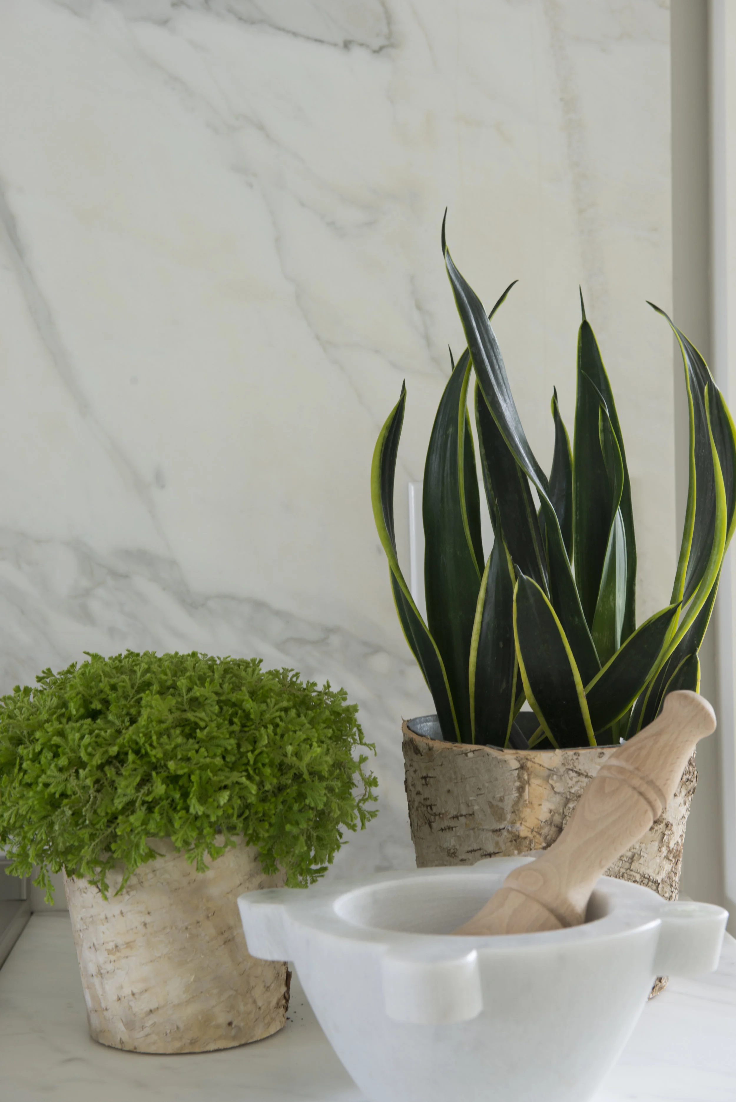 Kitchen decor
