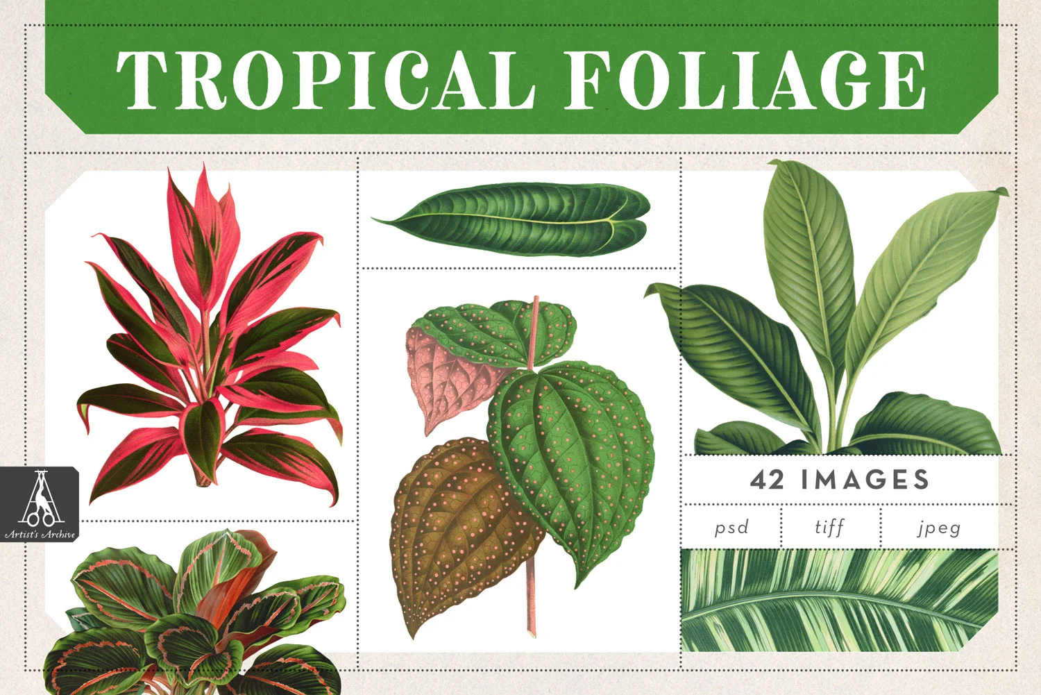 TropcialFoliageweb.jpg