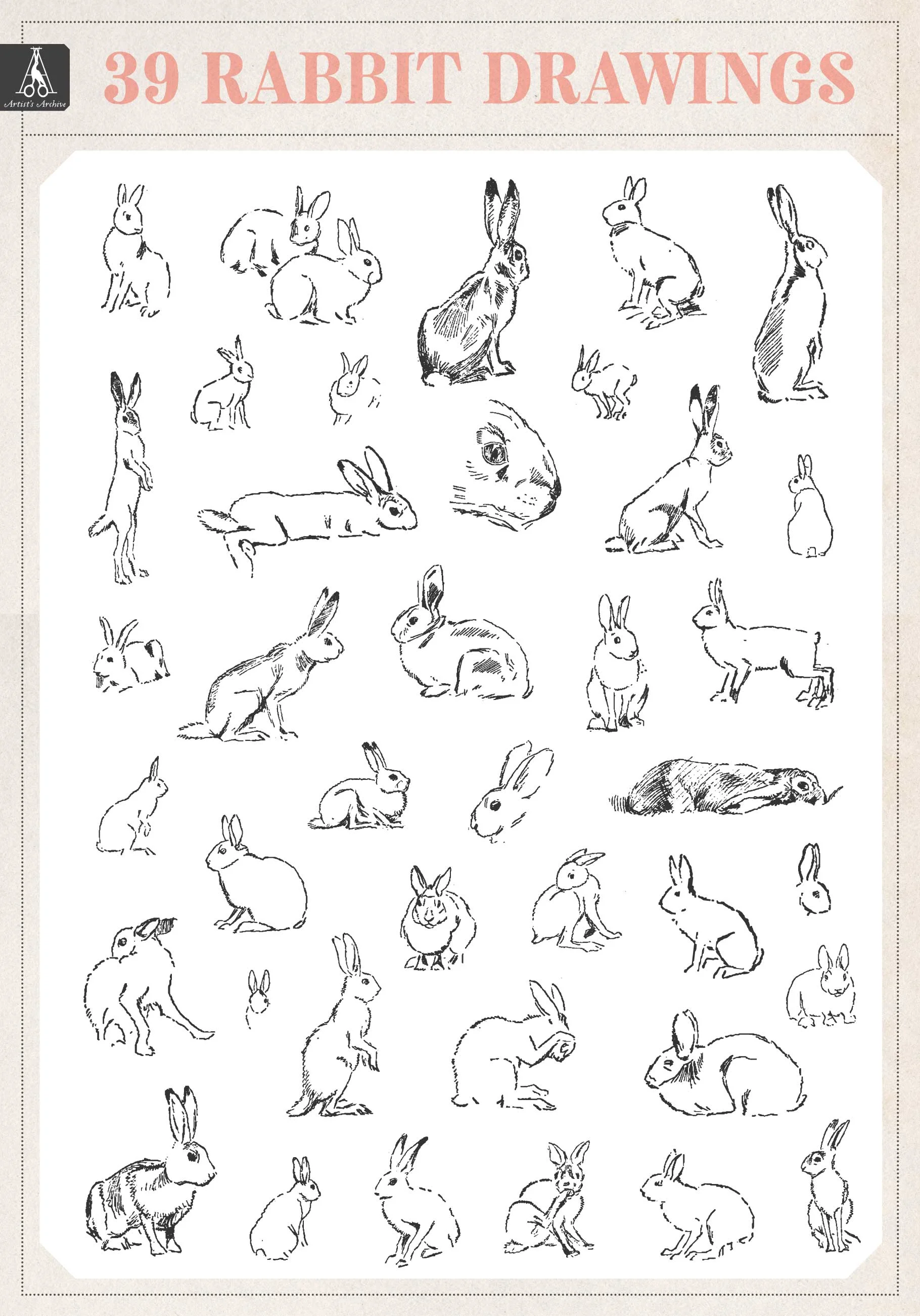 RabbitSketches_Listing.jpg