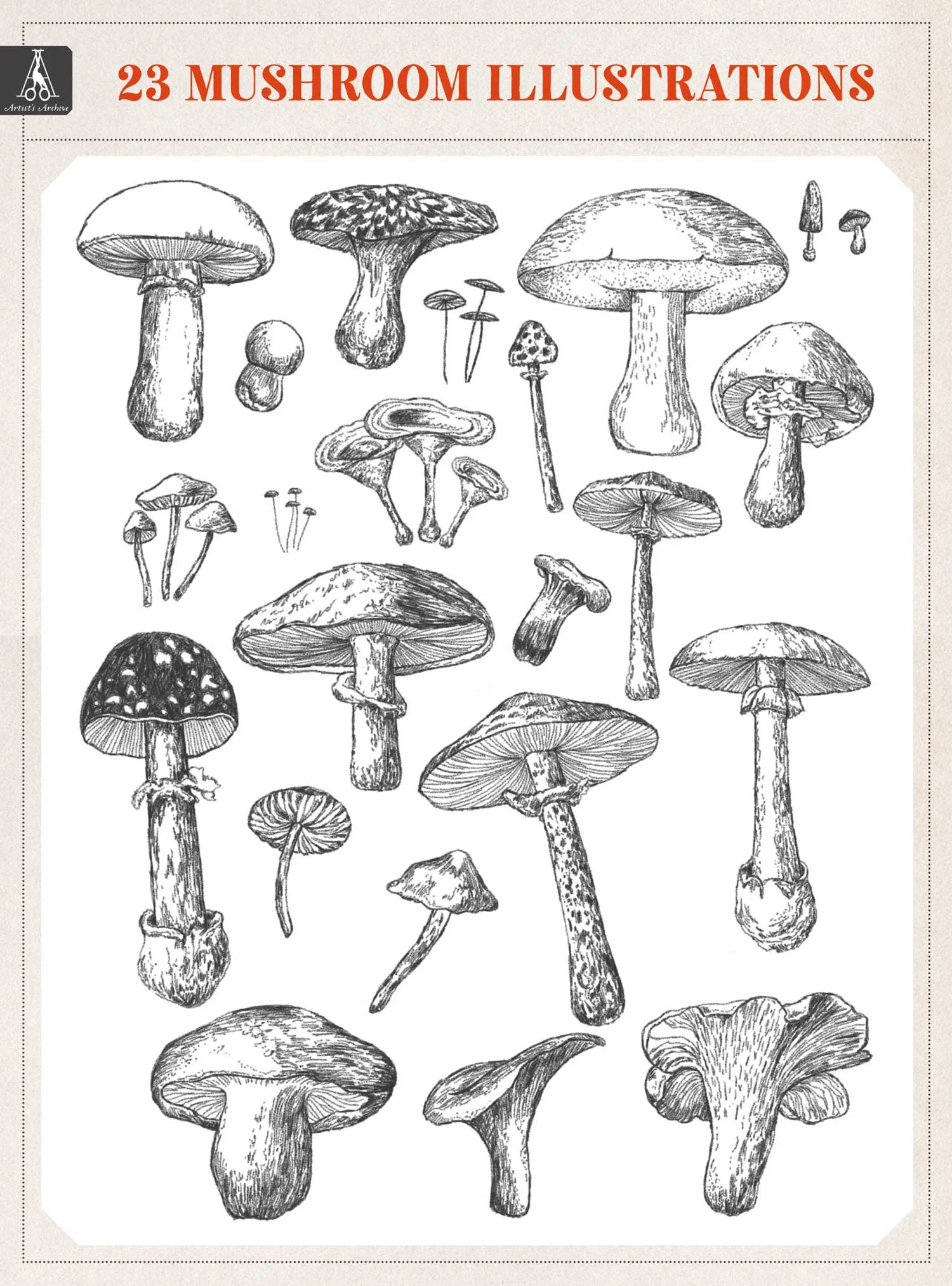MushroomListing_web.jpg