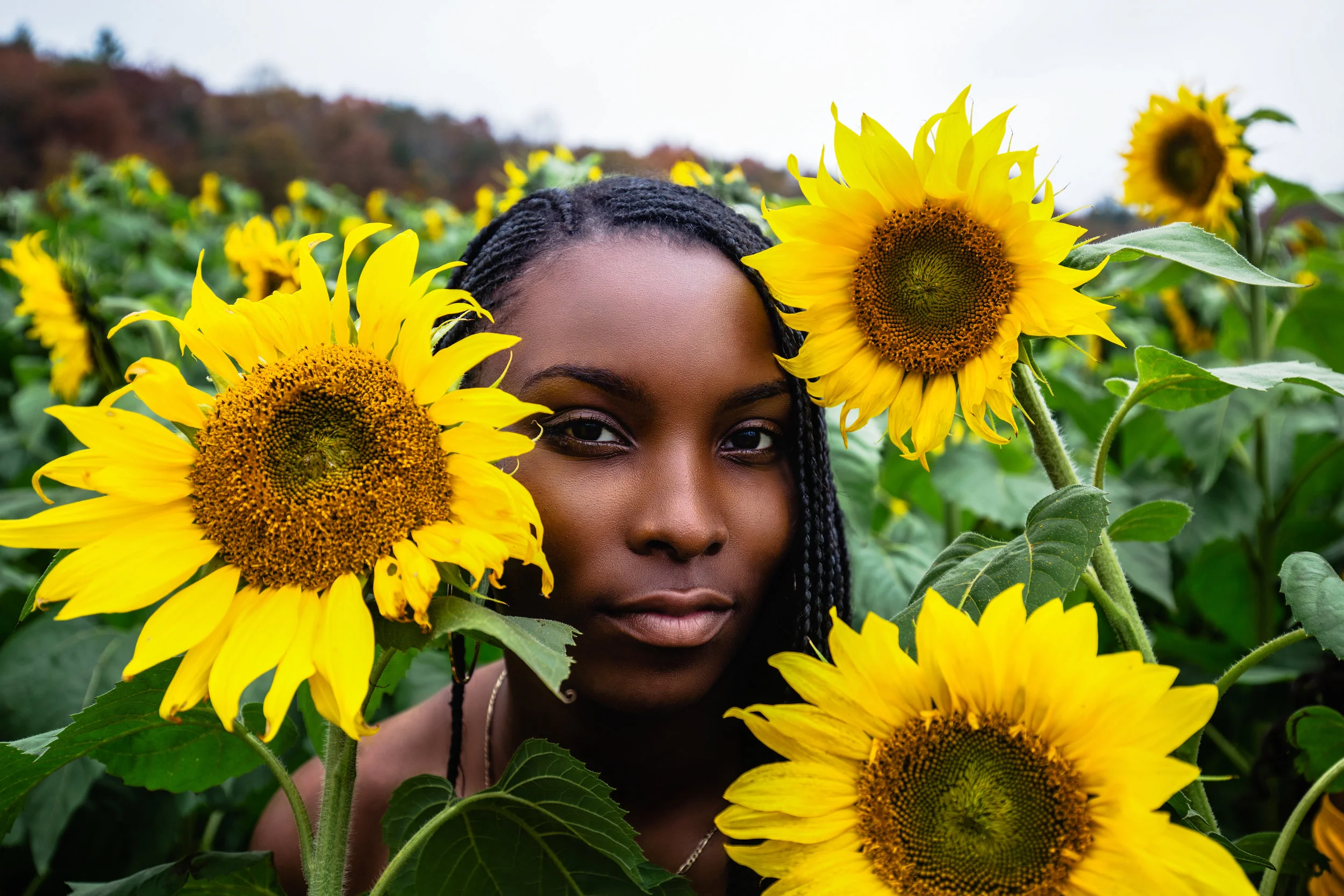 Sunflower-Field-139.jpg