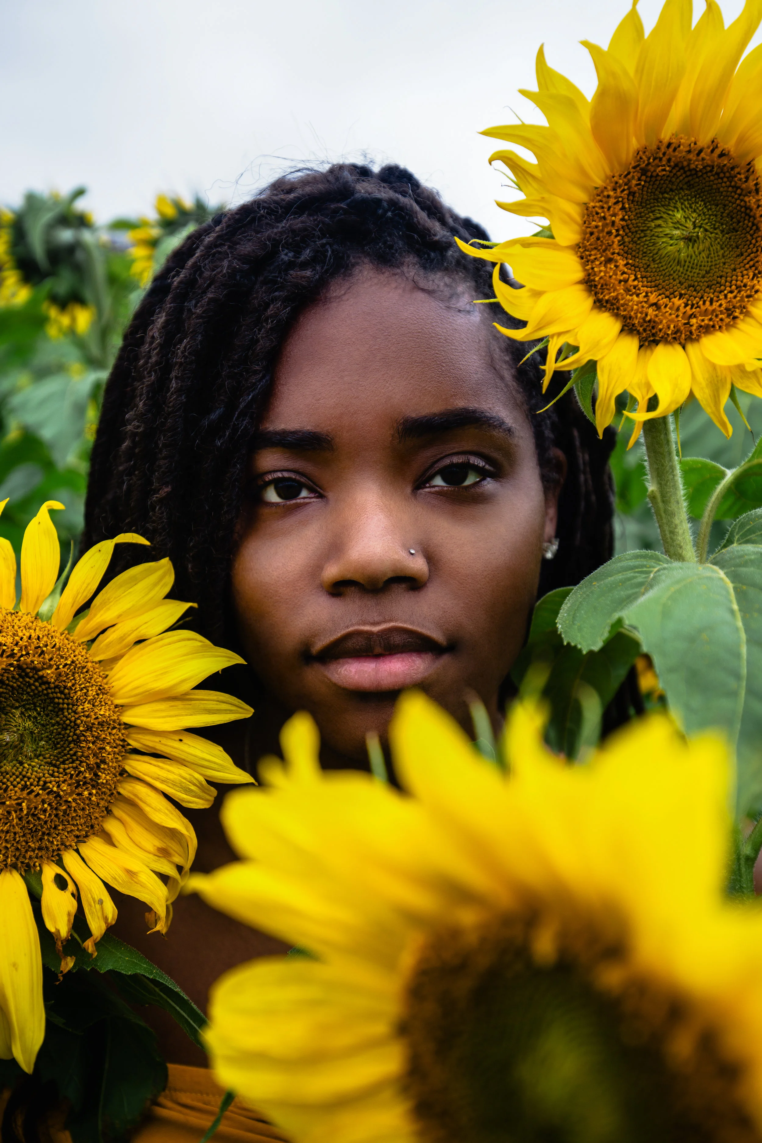 Sunflower-Field-150.jpg