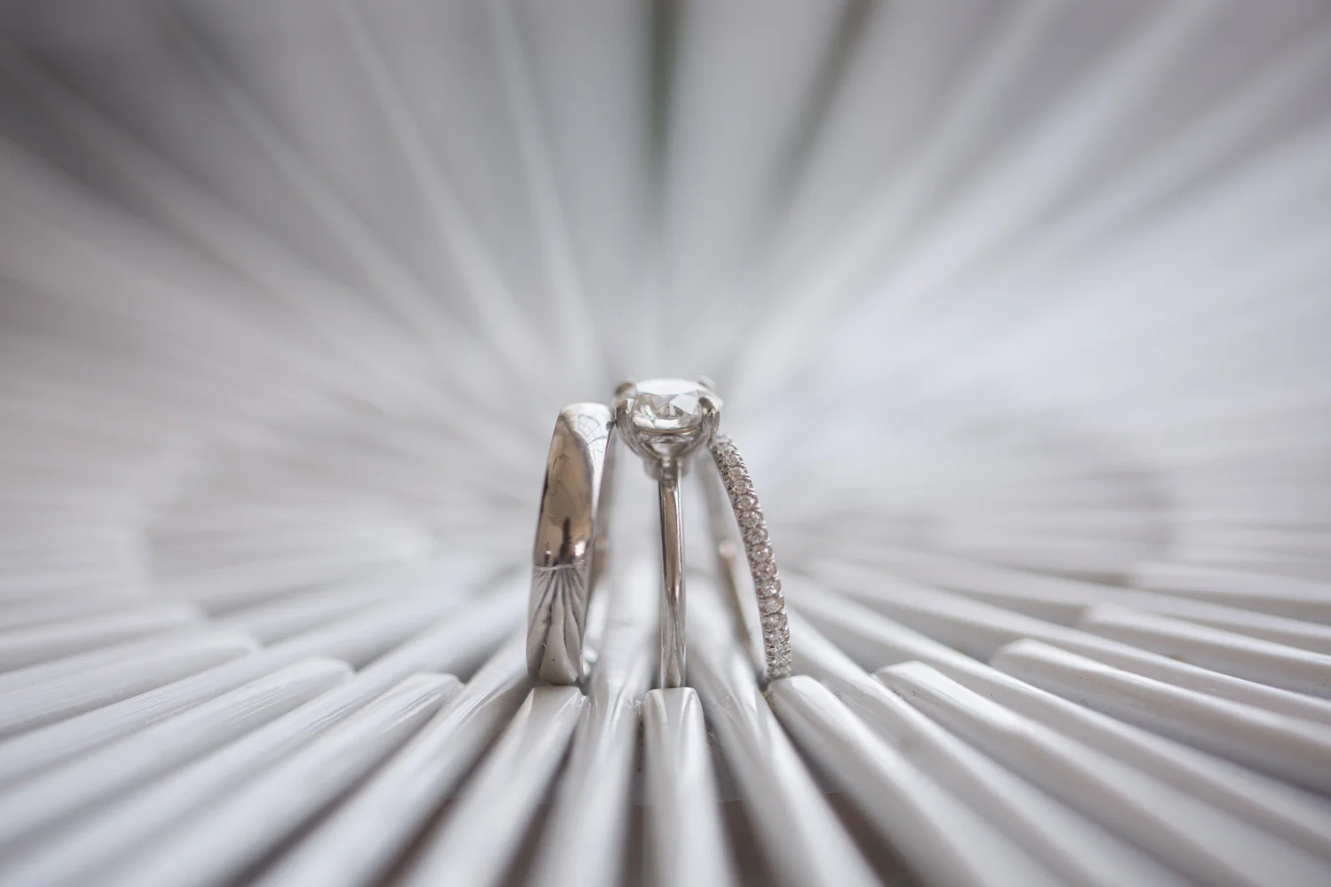 faryoung & Steve 3.jpg