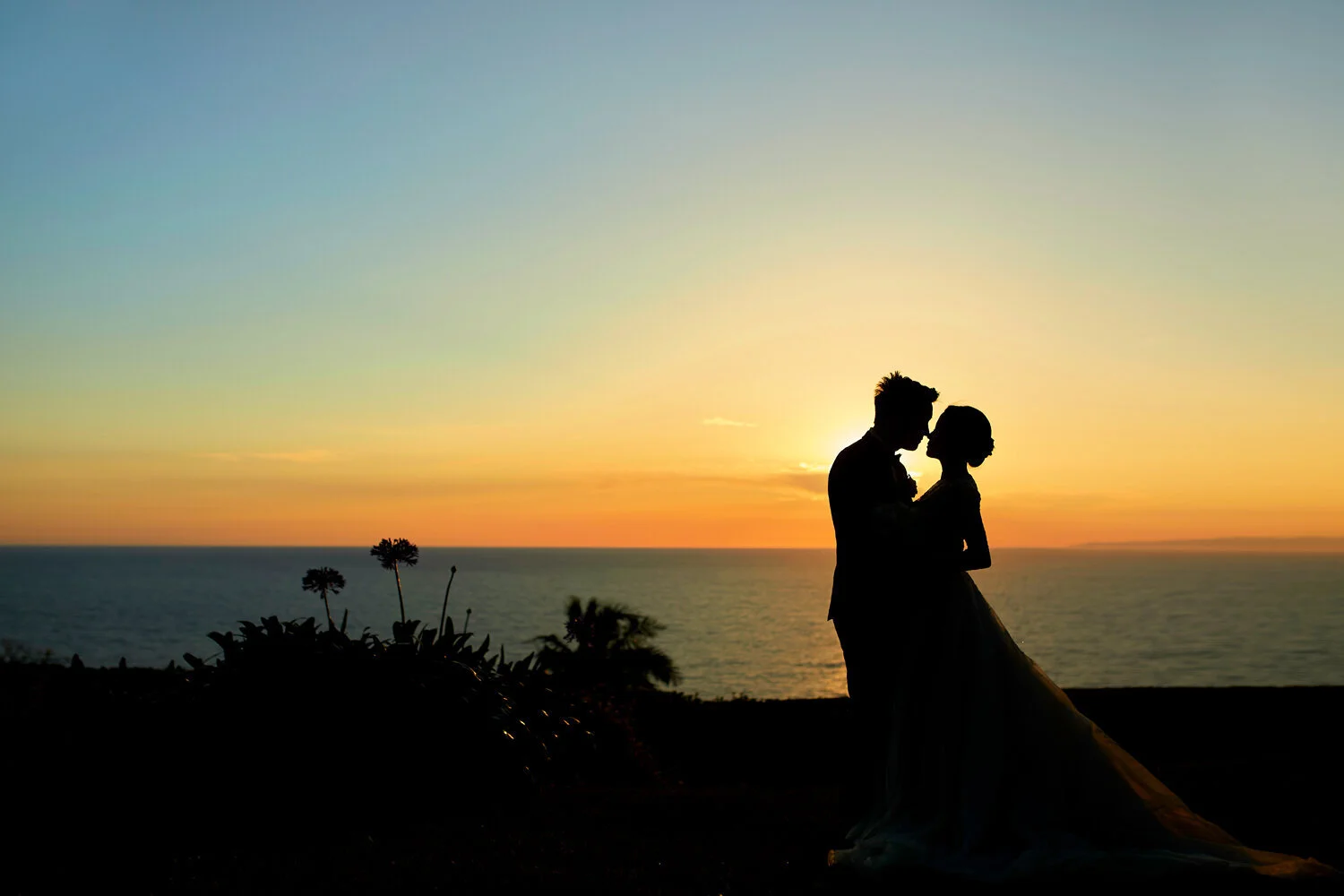 Alison+&+David+WED+finished+692.jpg