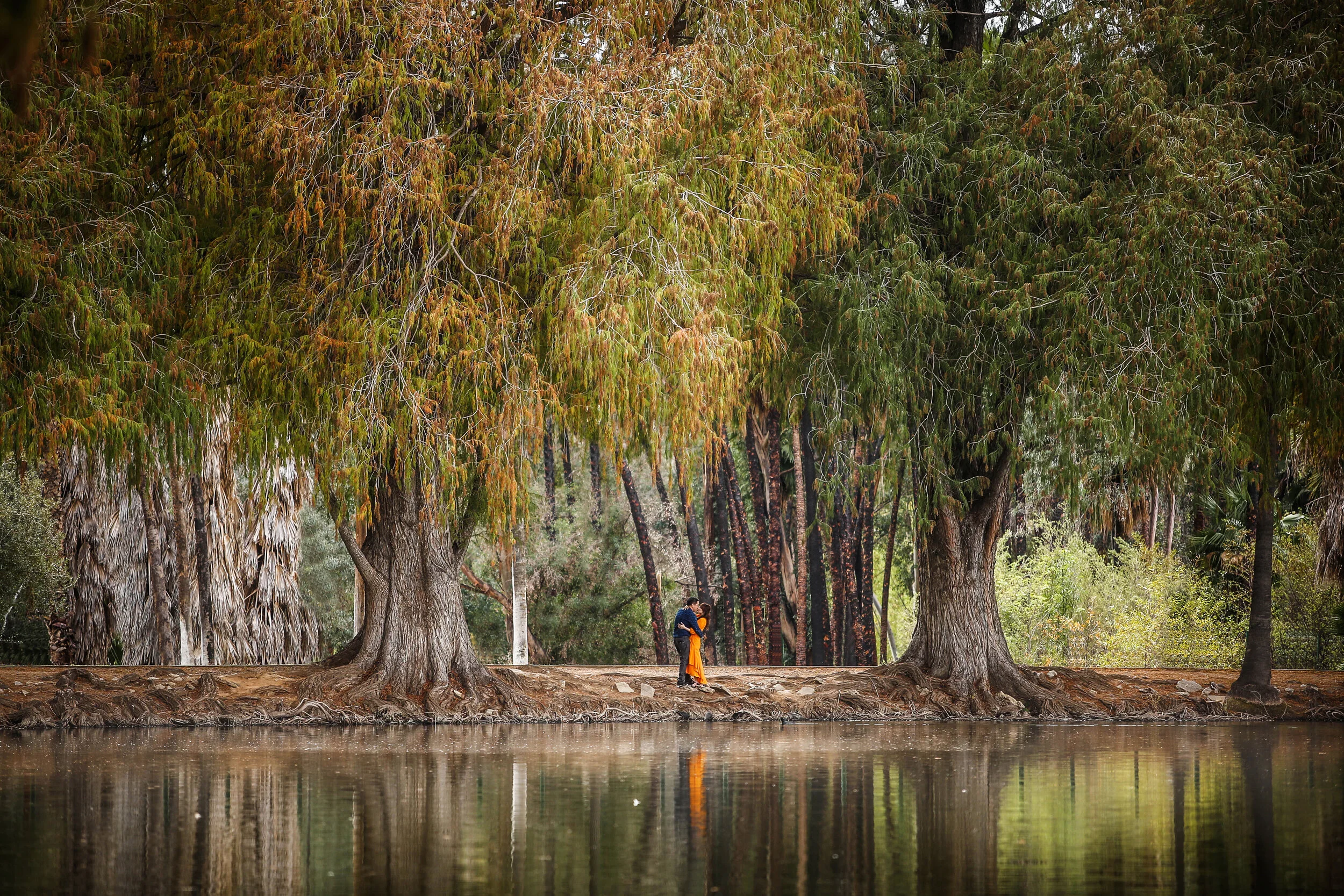 Grace & Sehun ENG-143.jpg