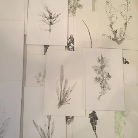 Artist in residence from Italy and a workshop