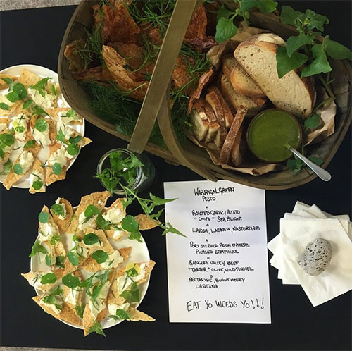 A Very Wild Surprise