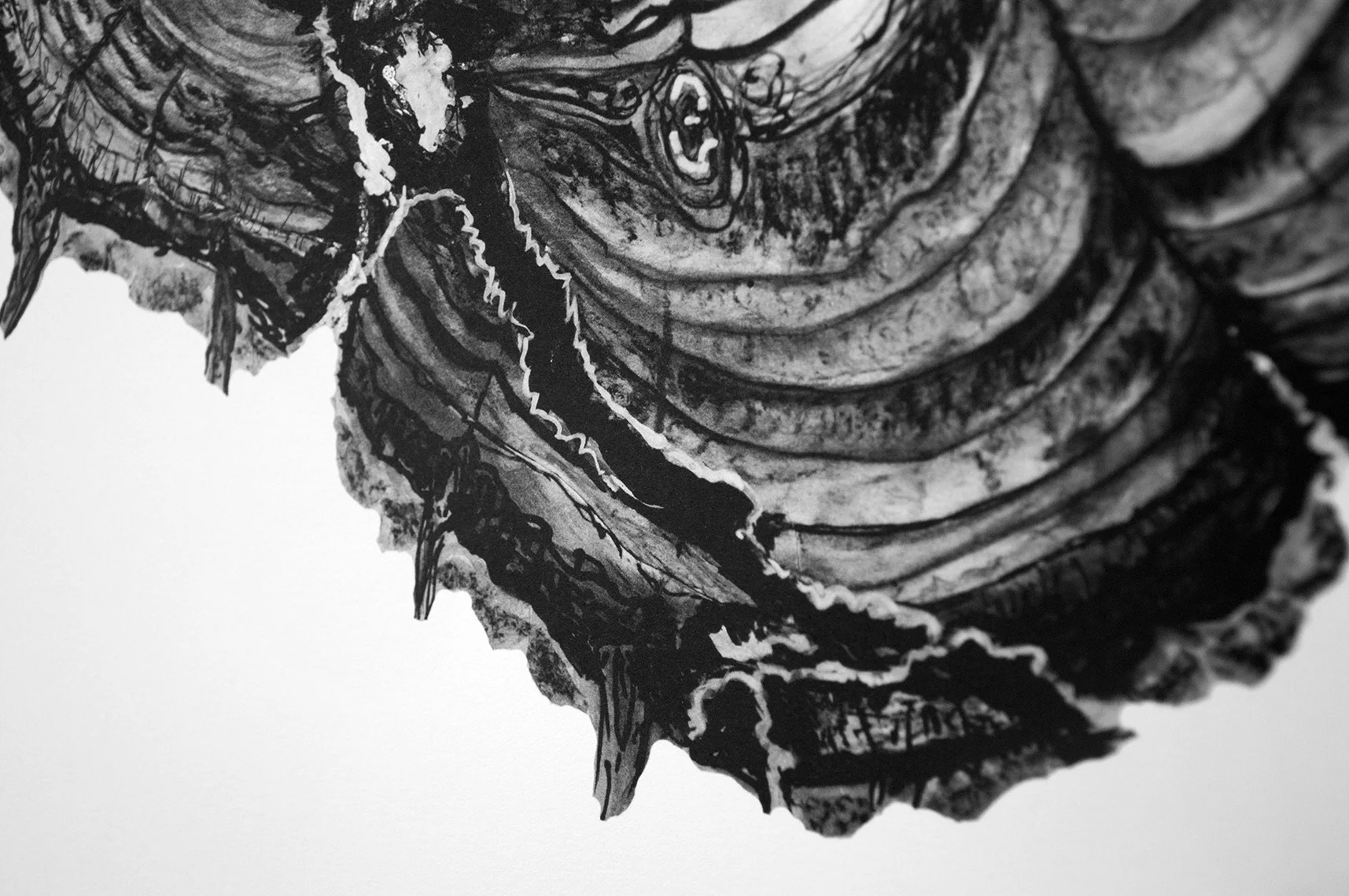 XXX annis vitae_detail tree_lowres.jpg