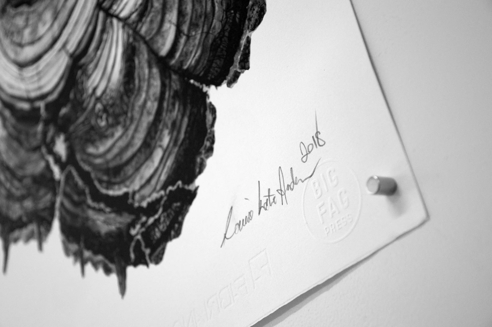 XXX Front detail signing_low res.jpg