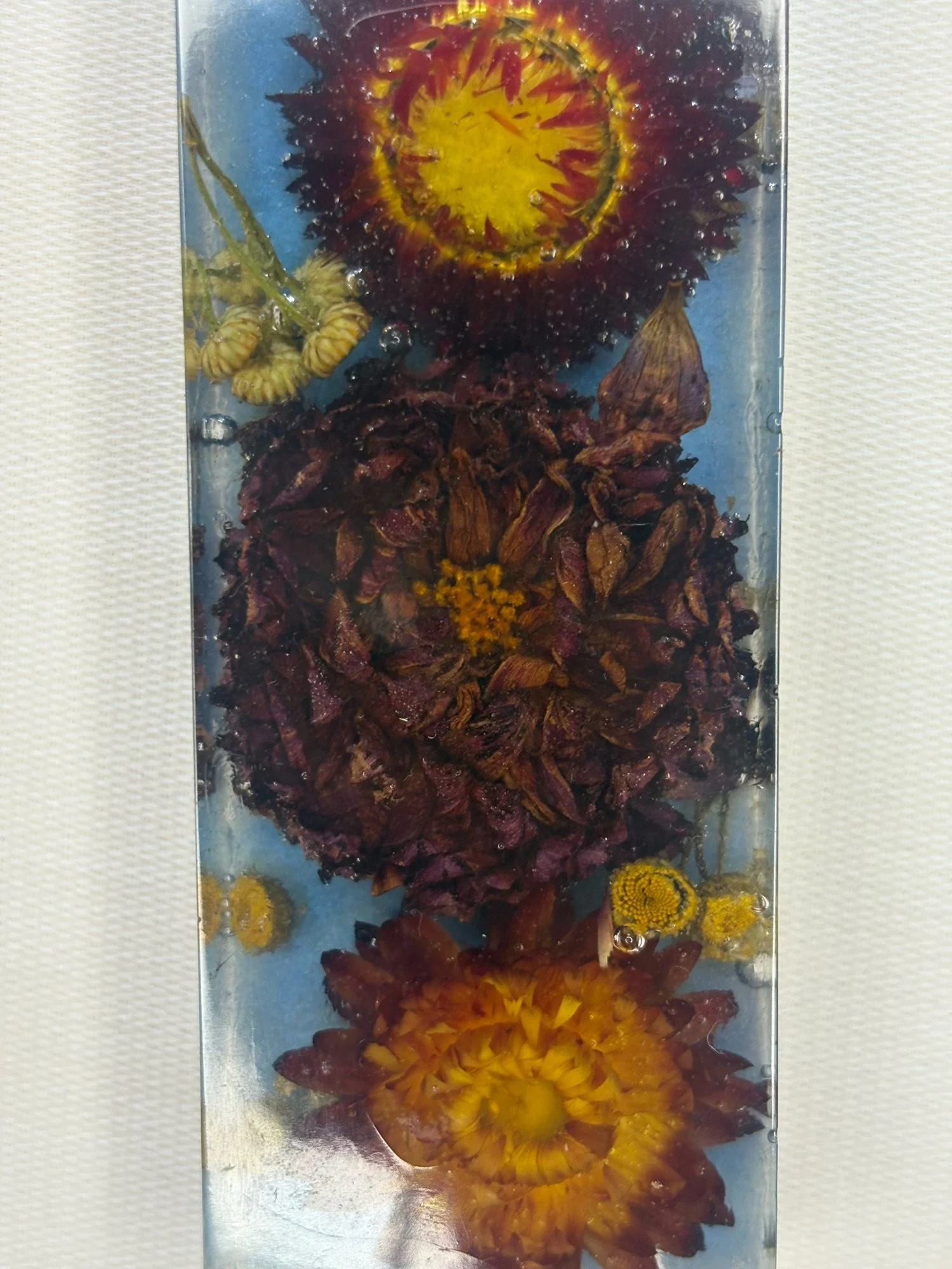 Floral Plexiglass Paperweight - Strawflower, Dahlia