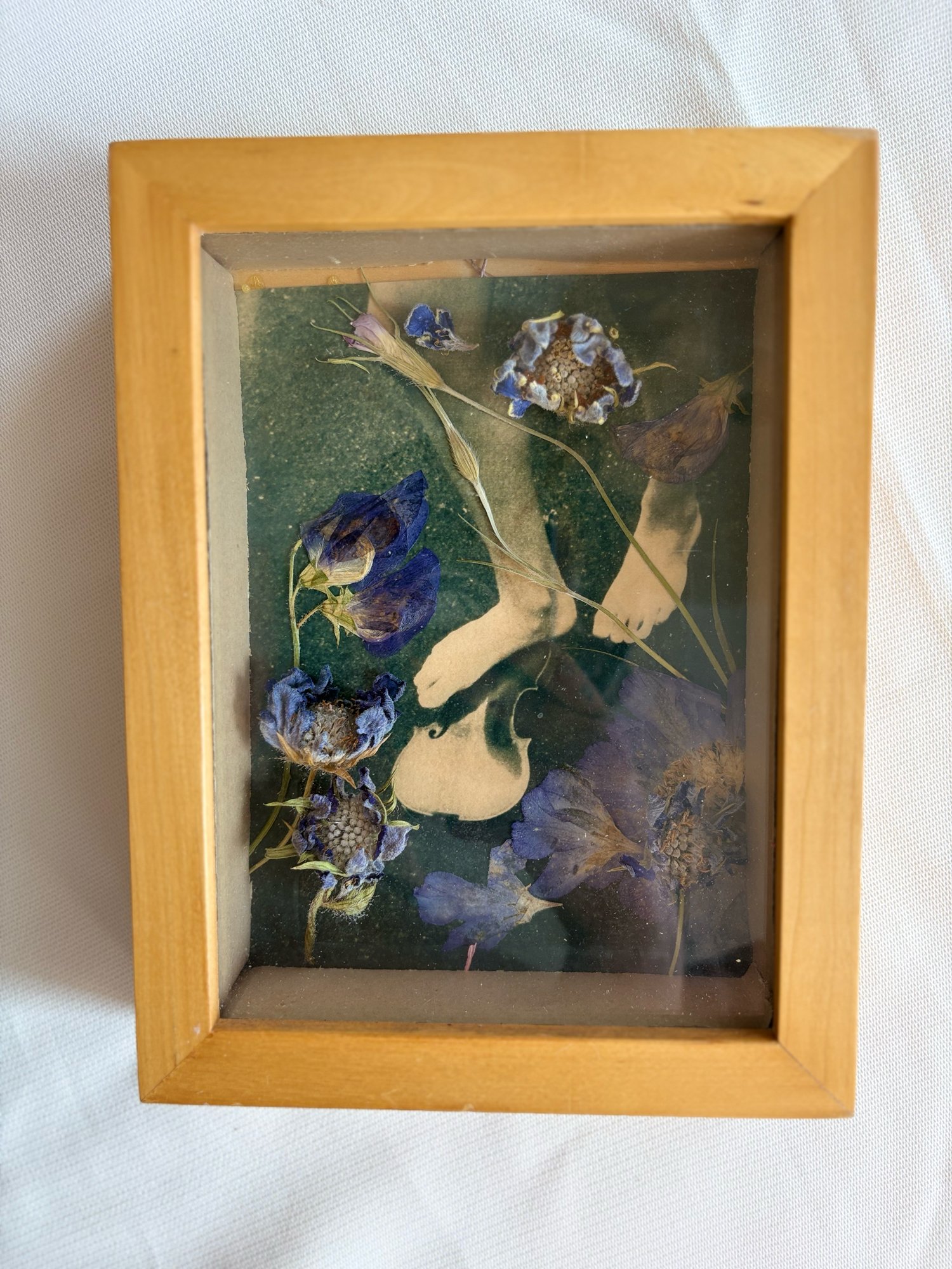 Cyanotype/Floral Shadowbox - "I Am Never Merry When I Hear Sweet Music"