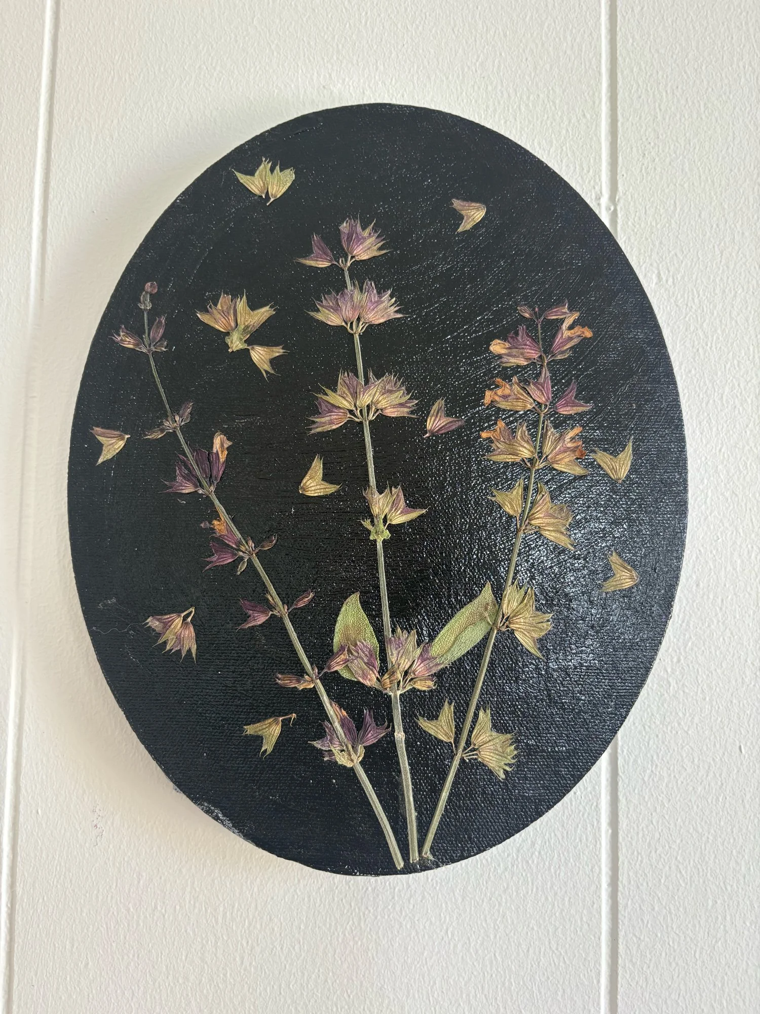 Pressed Sage on Painted Black Oval Canvas