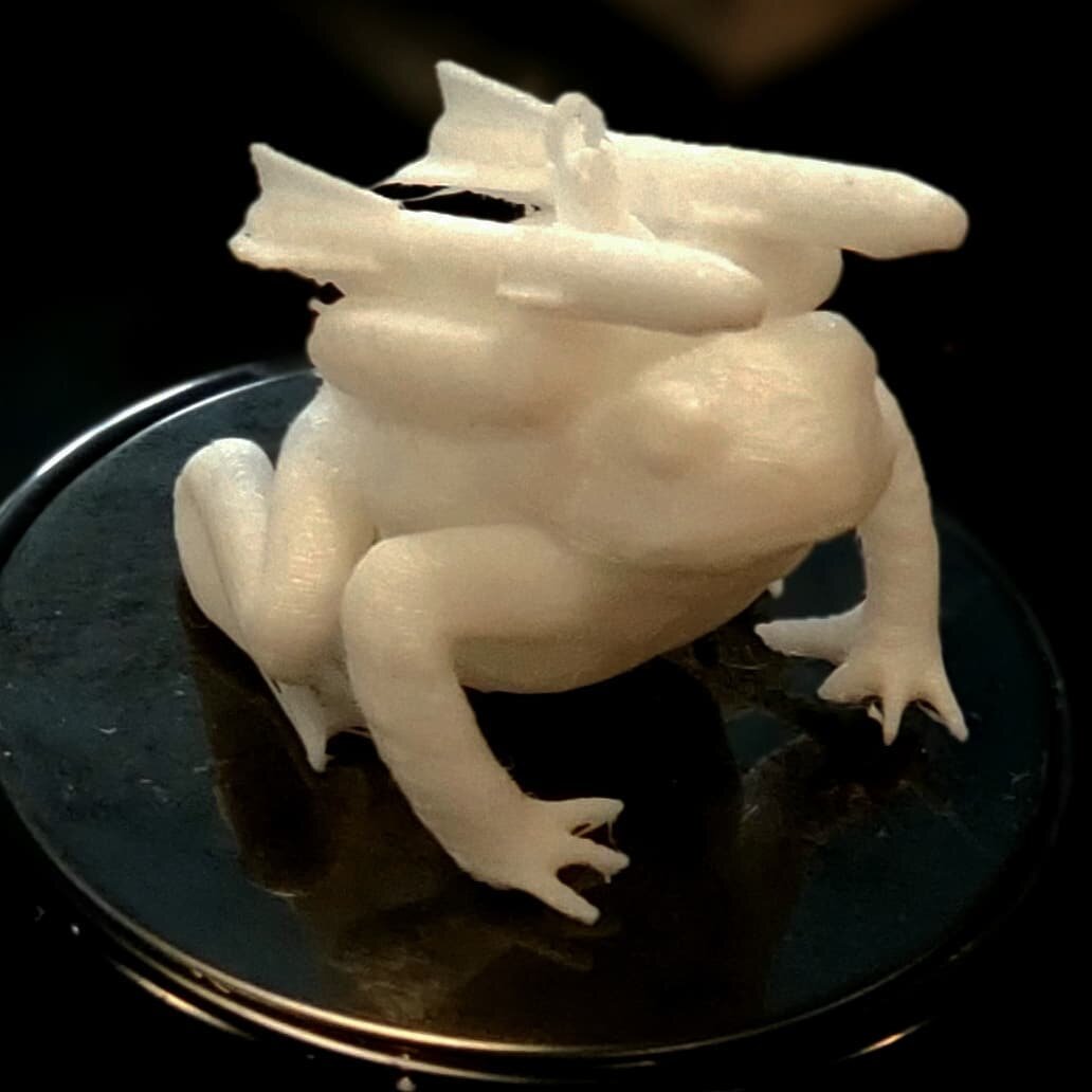I give you Mistletoad... once I give him a paint job he will be Hypno-Mistletoad. 
#ender5pro #3dprint #thingiverse
#FashTechGeek  #pla #ornament  #maladjustedmilliner