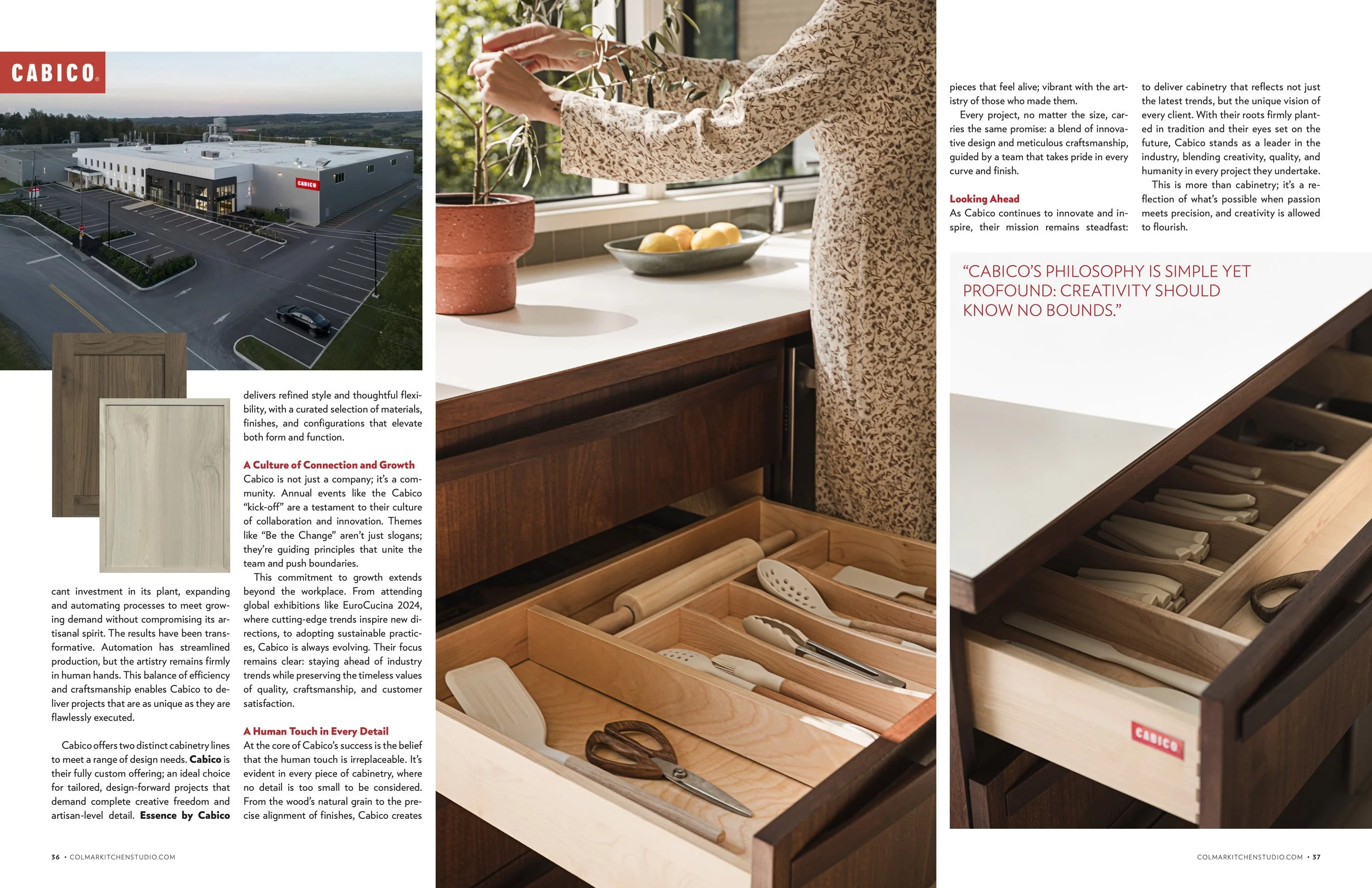 34-37 Cabico V2 b.jpg