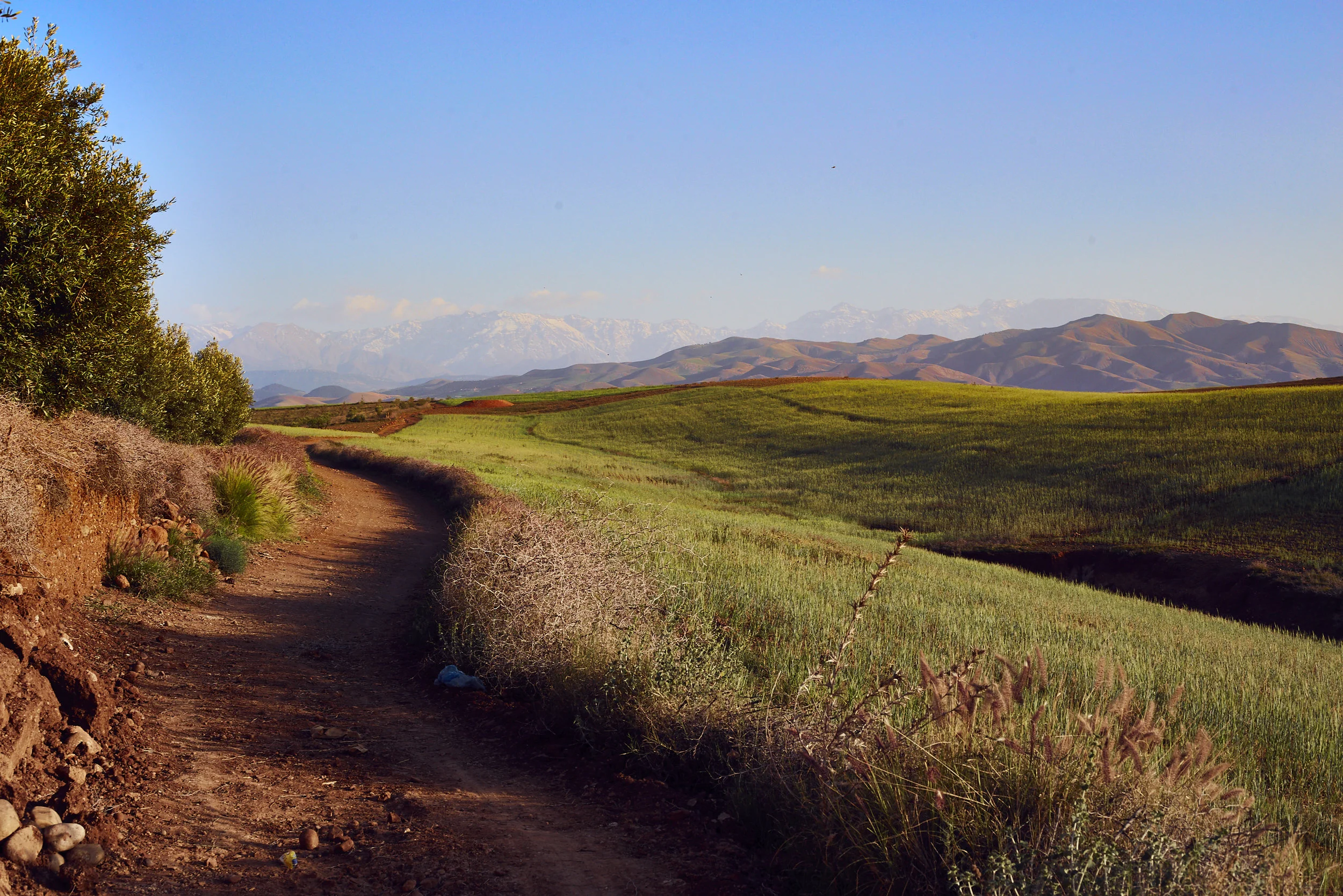 MOROCCO_349.jpg