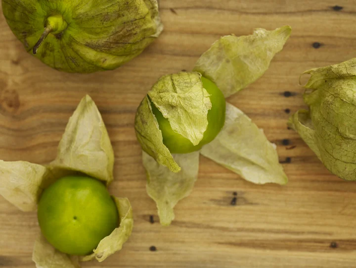 Jprovost_Tomatillo.jpg
