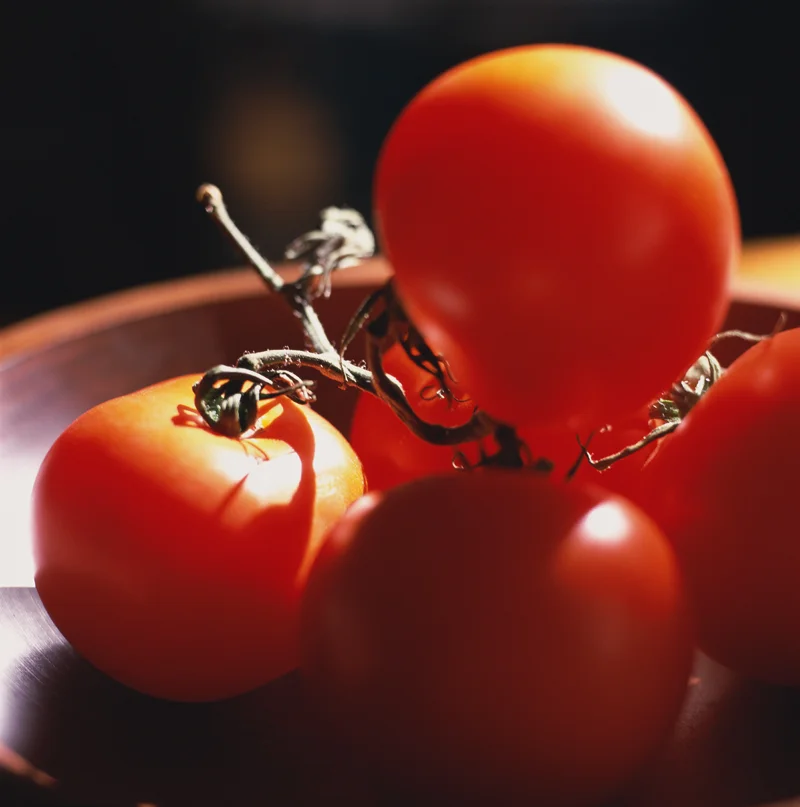 tomatoes_bright>.jpg