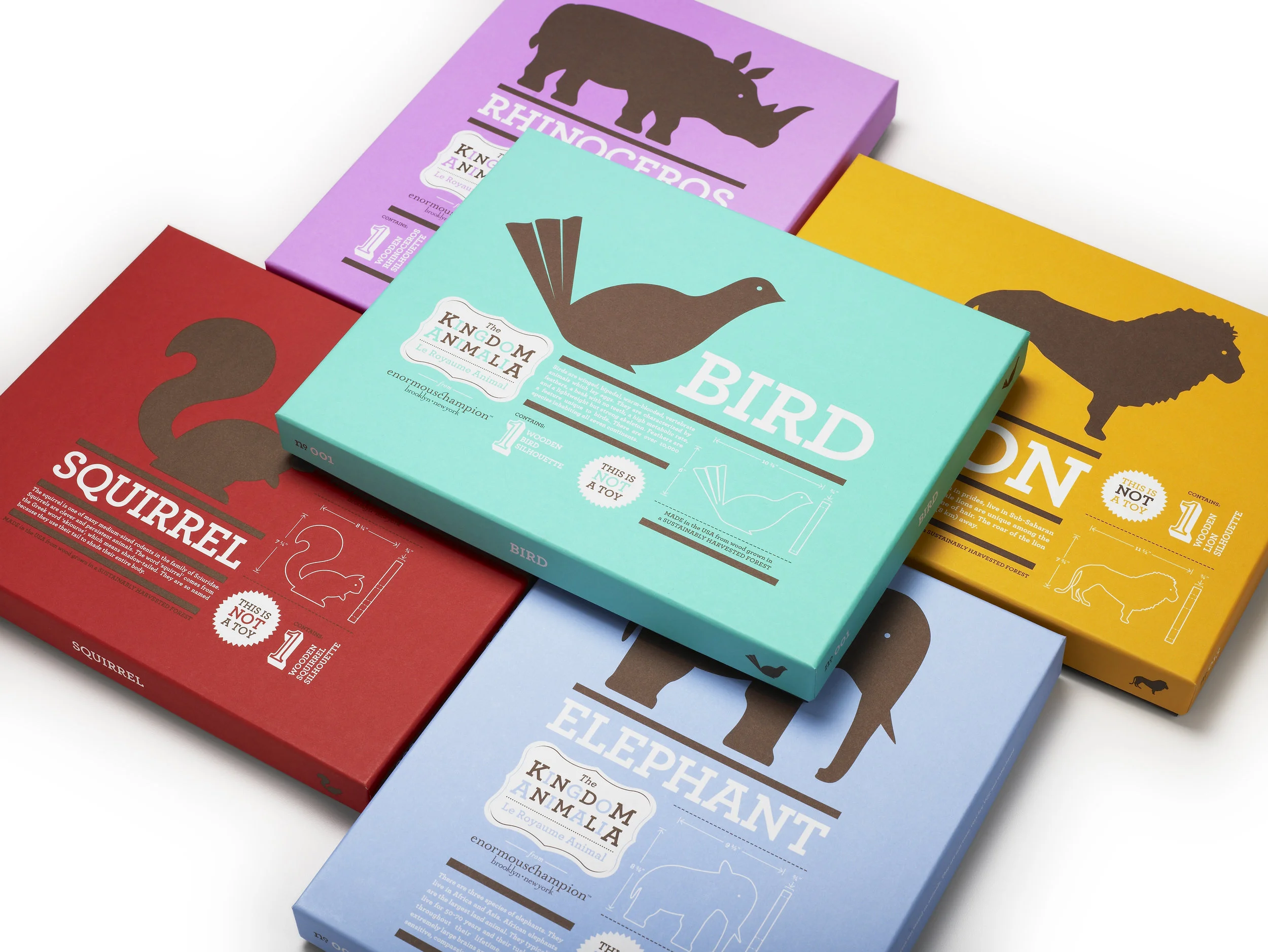 ec_KAnimalia_Box_Group.jpg