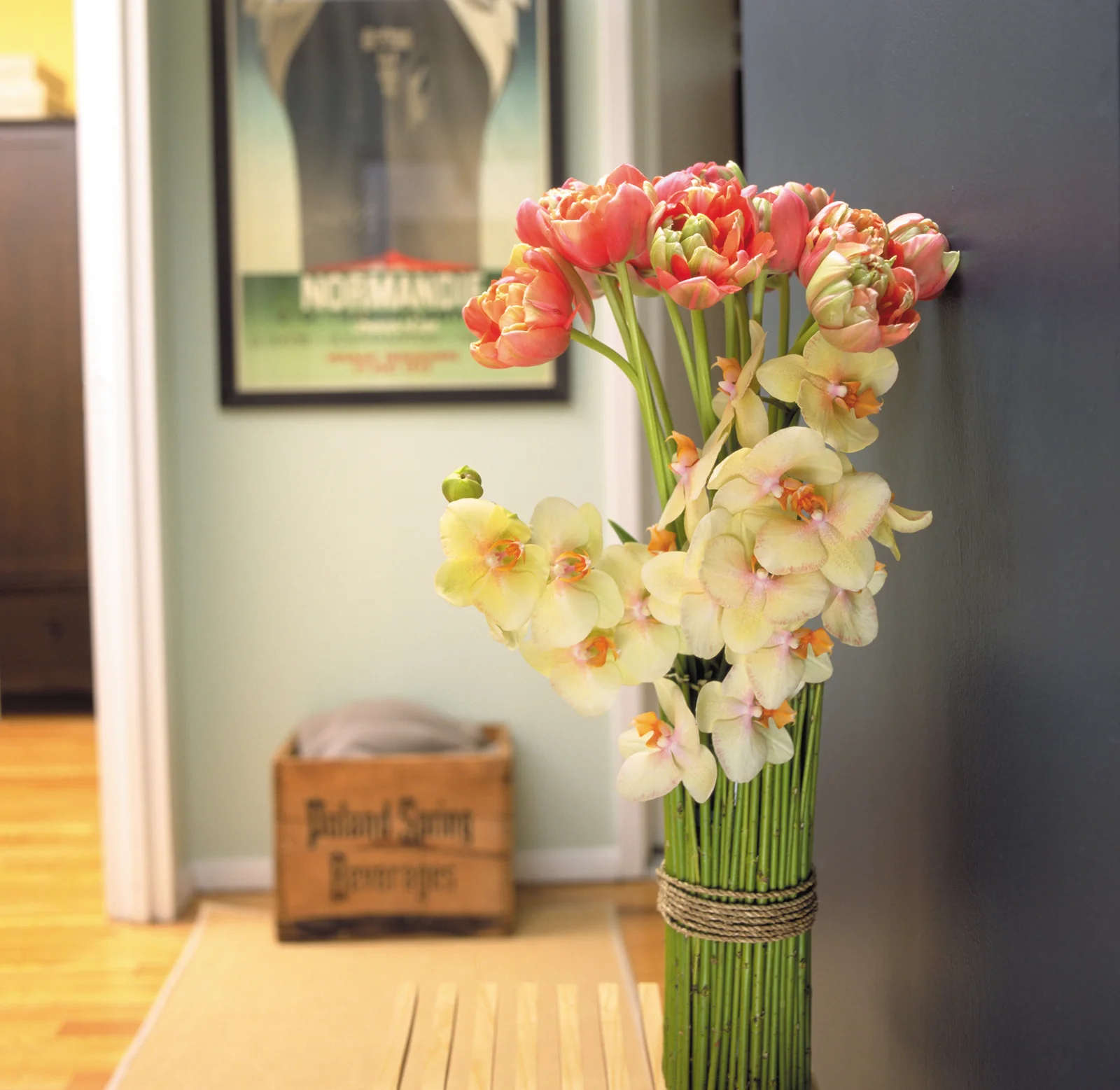 claudia's apt.jpg