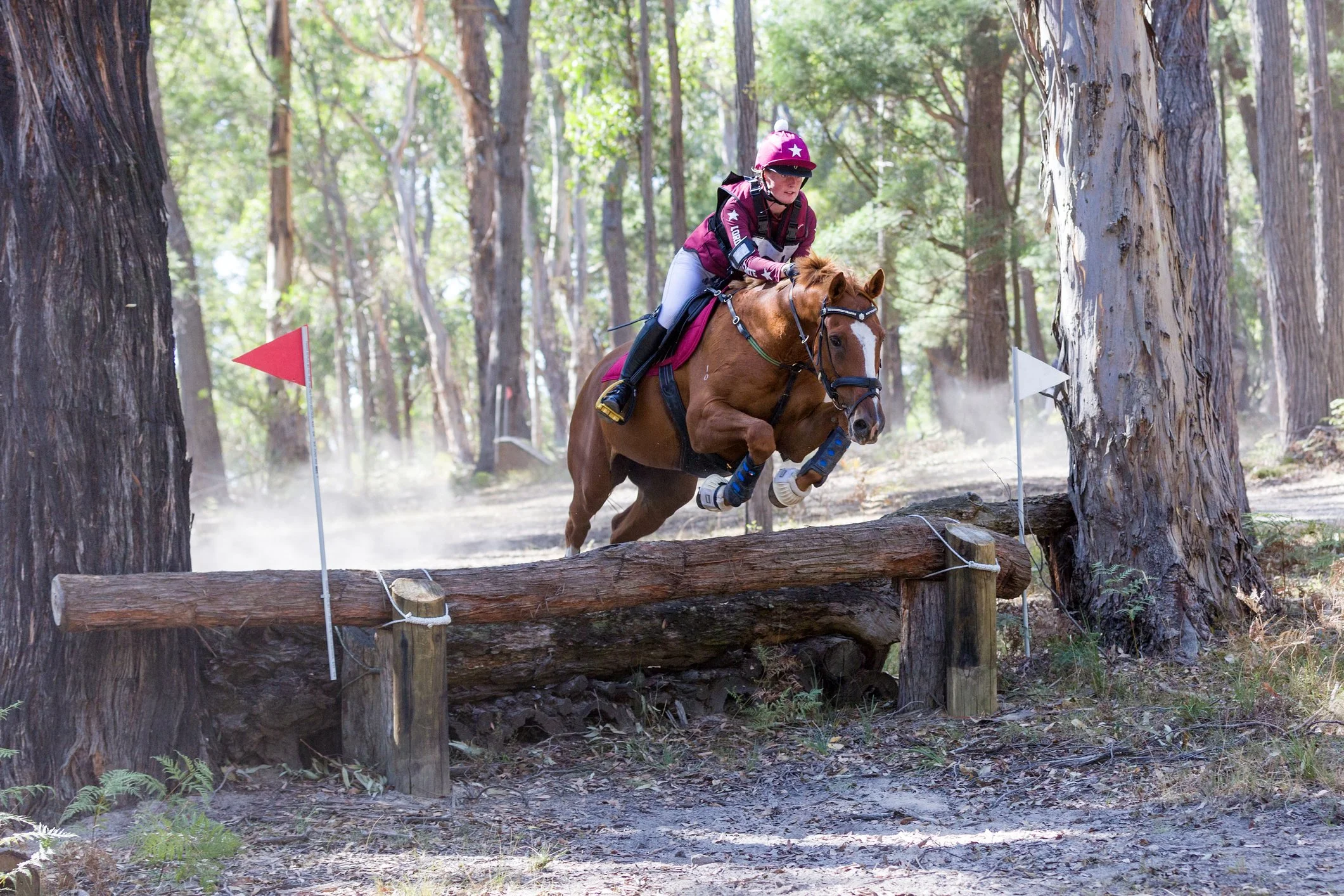 _Y0A1692 as Smart Object-1-(ZF-8881-30803-1-001).jpg