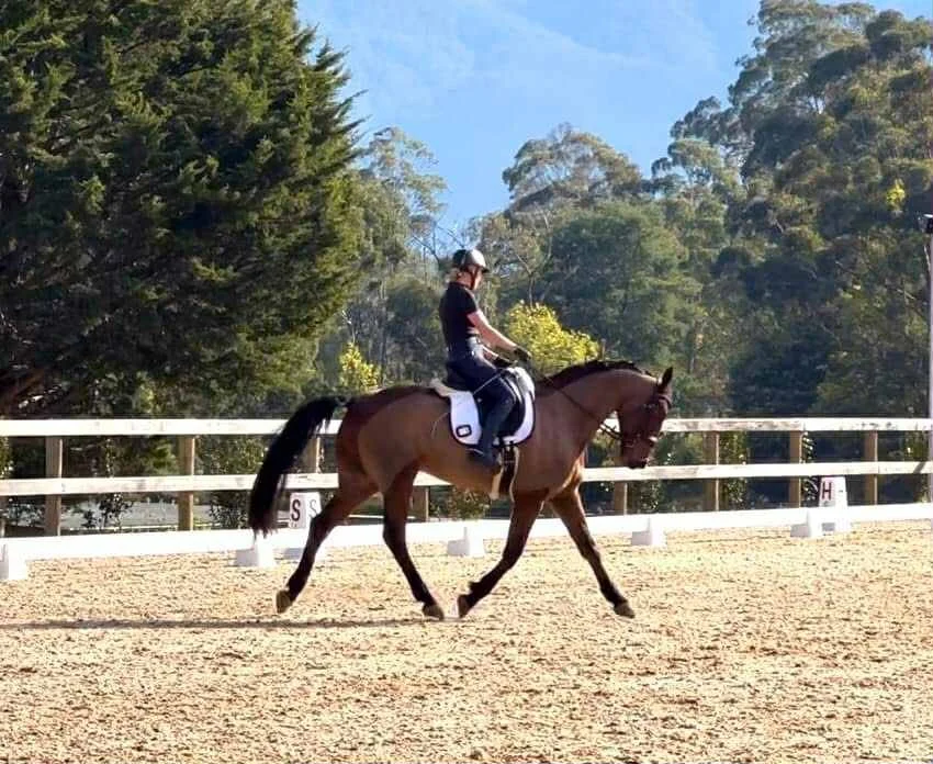 att.WgmP3LJUANTqljLOYDqH32zIVcUEO5ZTV99n47CJb5k 2.JPG