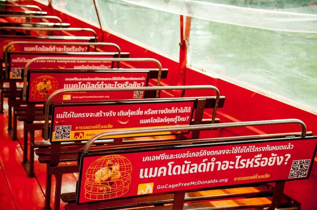 073011f8-8416-44ac-a3a4-0b48acbe32e5.jfif