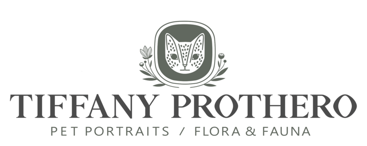 Tiffany Prothero - Pet Portraits / Flora & Fauna