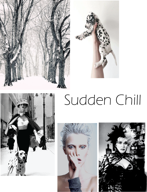 Senior Collection Mood Board page 1.png