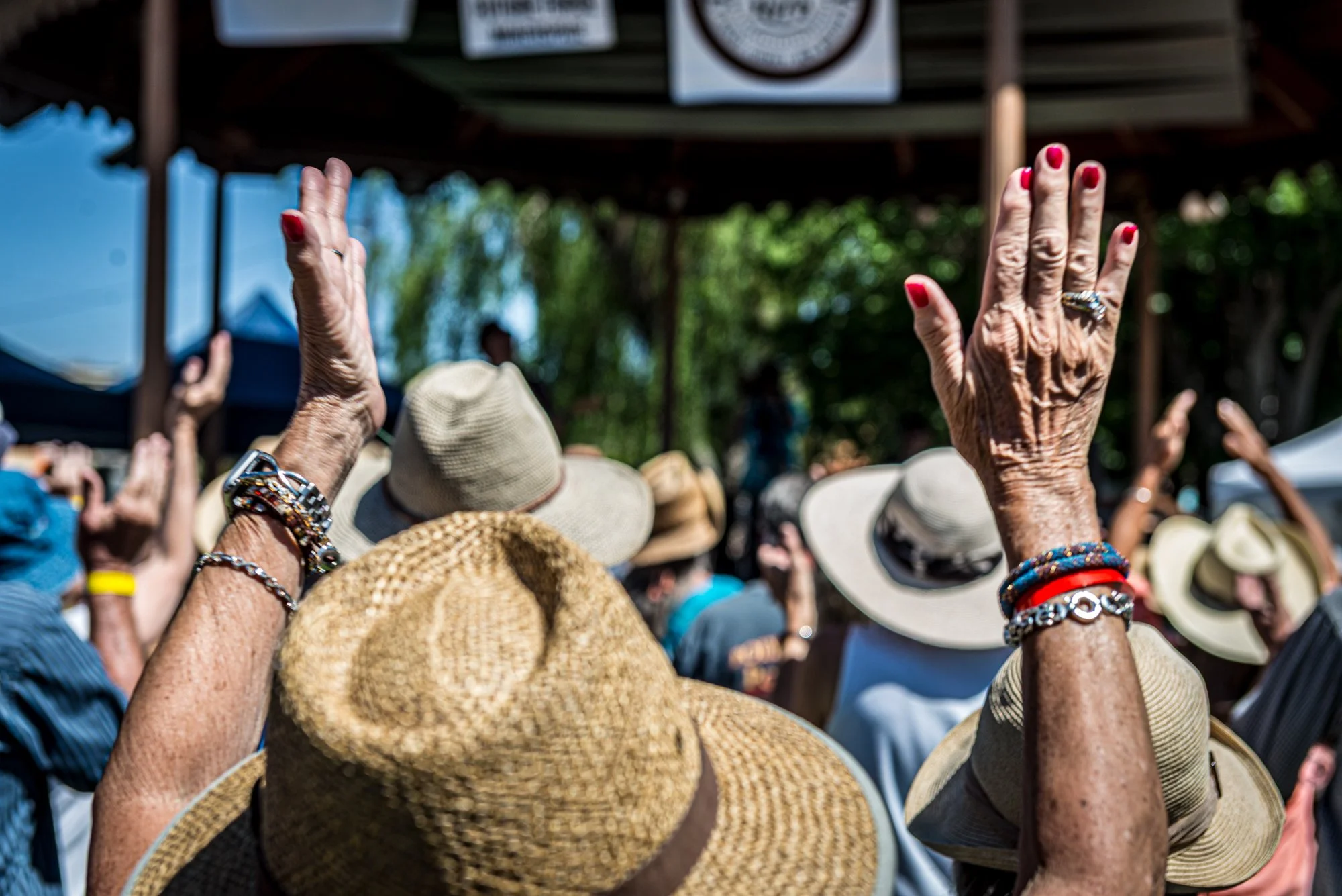 250524 SC Blues Fest 1238.jpg